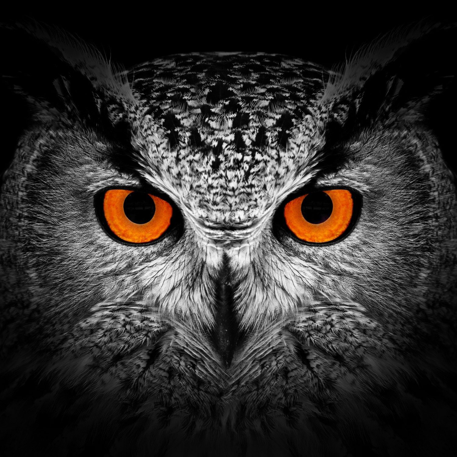 Wallario Möbelfolie Blick aus der Dunkelheit