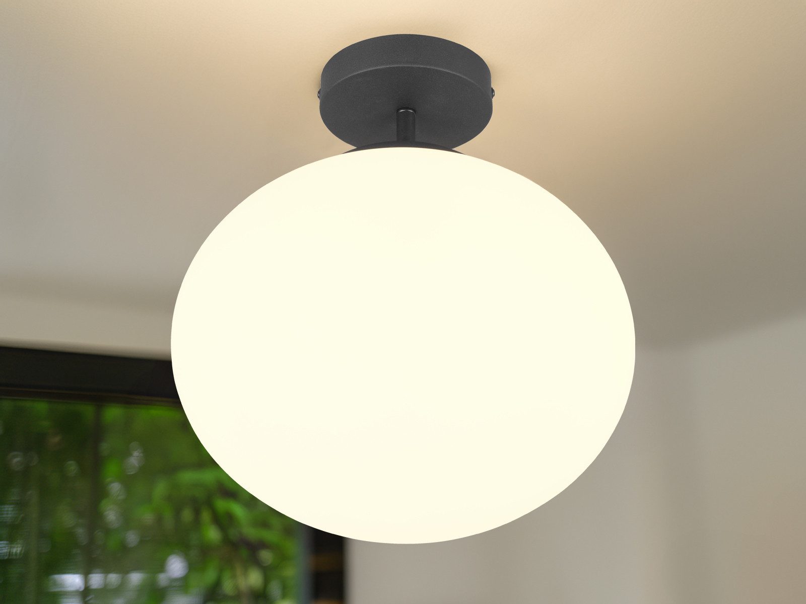 TRIO Leuchten LED Deckenleuchte, Dimmfunktion, LED wechselbar, Warmweiß, Deckenbeleuchtung mit Glas-kugel, Lampe für Treppenhaus Ø 30cm