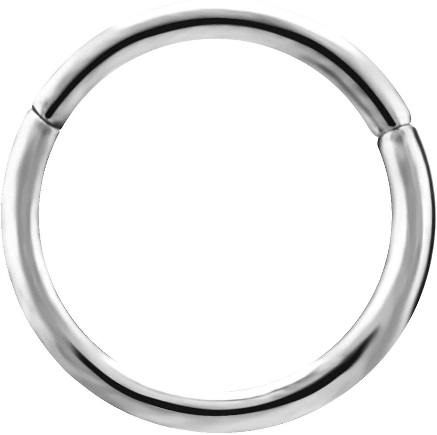 Karisma Piercing-Set Ring G23 Titan Piercing 1,2x8mm - Hinged Ohrring Karisma Clicker Helix Segmentring Charnier/Septum