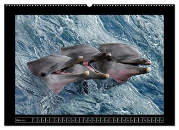 CALVENDO Wandkalender Wildtiere (Premium, hochwertiger DIN A2 Wandkalender 2023, Kunstdruck in Hochglanz)