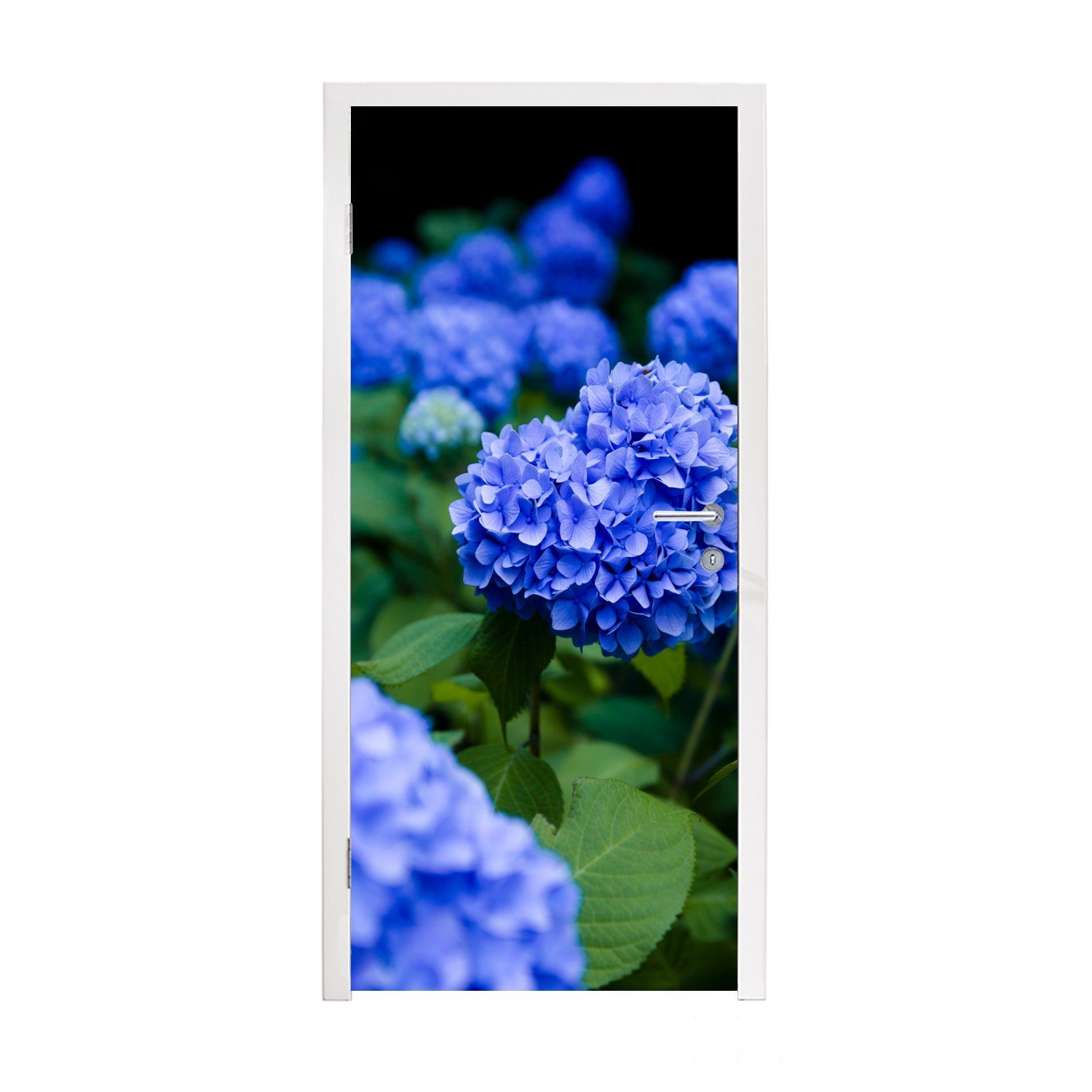 MuchoWow Türtapete Nahaufnahme blaue Hortensienblüten, Matt, bedruckt, (1 St), Fototapete für Tür, Türaufkleber, 75x205 cm