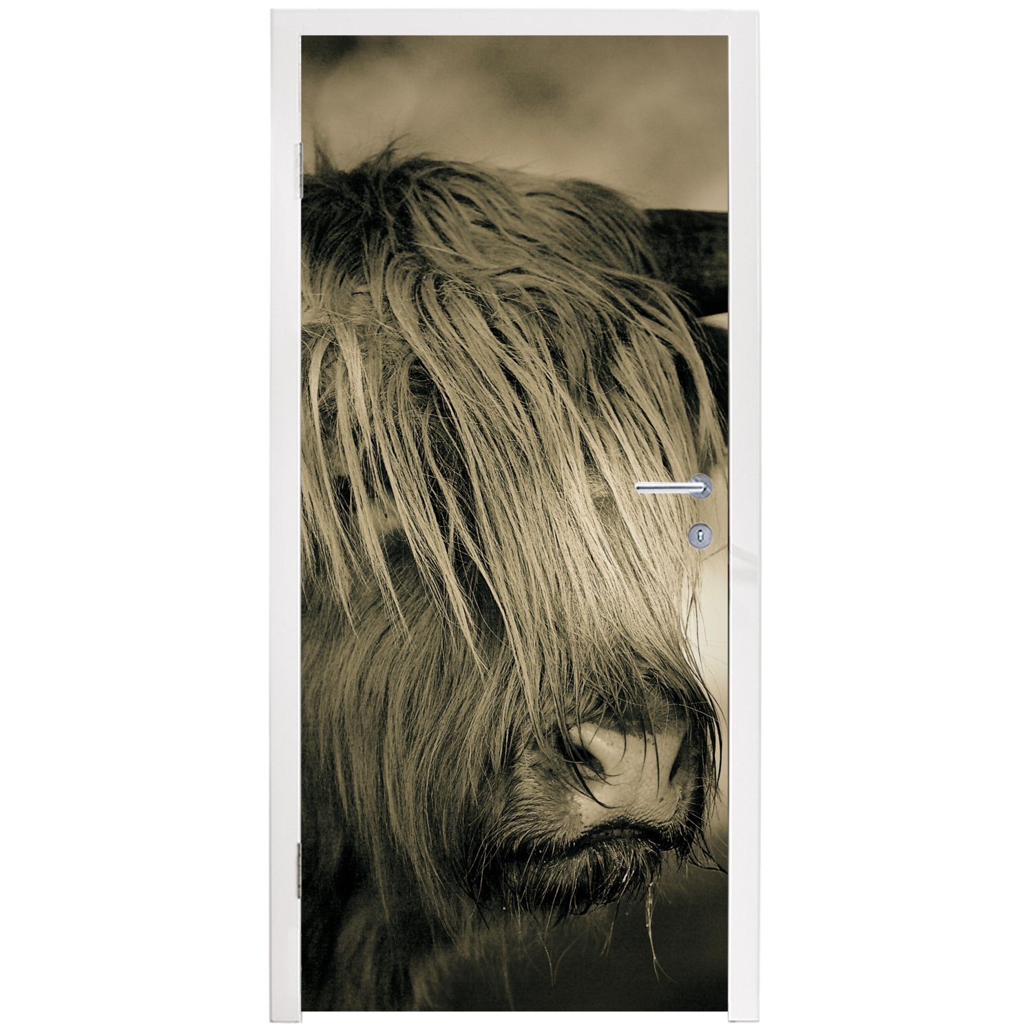 Matt, Highlander Schottischer bedruckt, Türtapete Türaufkleber, MuchoWow (1 Tür, St), Tiere Fototapete - Haare, für - 75x205 cm