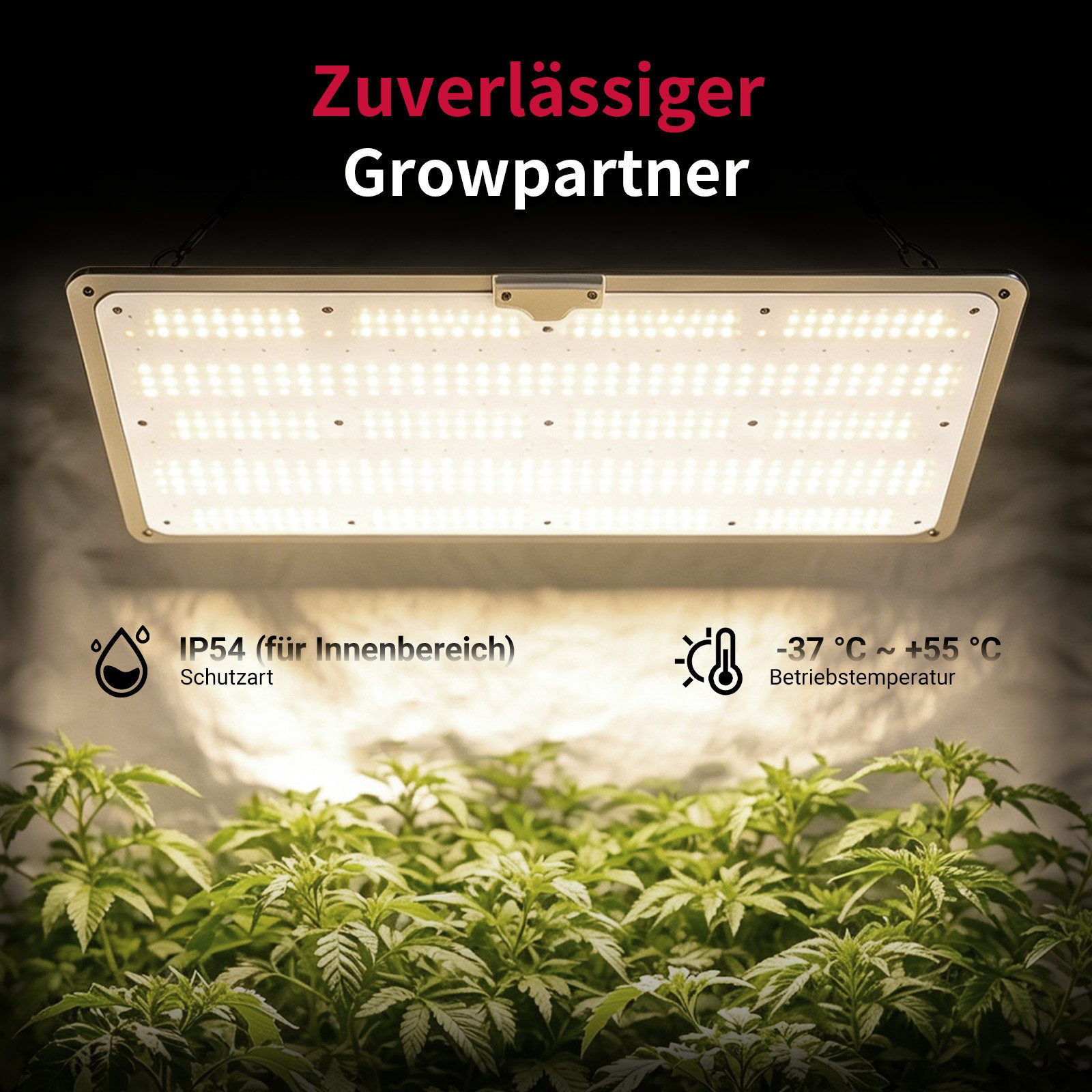 CannoBox Pflanzenlampe Pflanzenlampe LED Vollspektrum Panel 640 Stück Leuchtdioden 200W, 200W, LED fest integriert