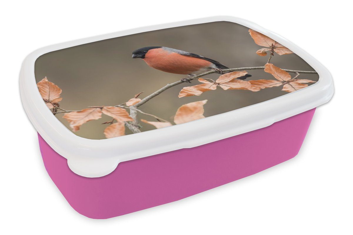 MuchoWow Lunchbox Vogel - Laub - Herbst - Gimpel -, Kunststoff, (2-tlg), Brotbox für Erwachsene, Brotdose Kinder, Snackbox, Mädchen, Kunststoff rosa