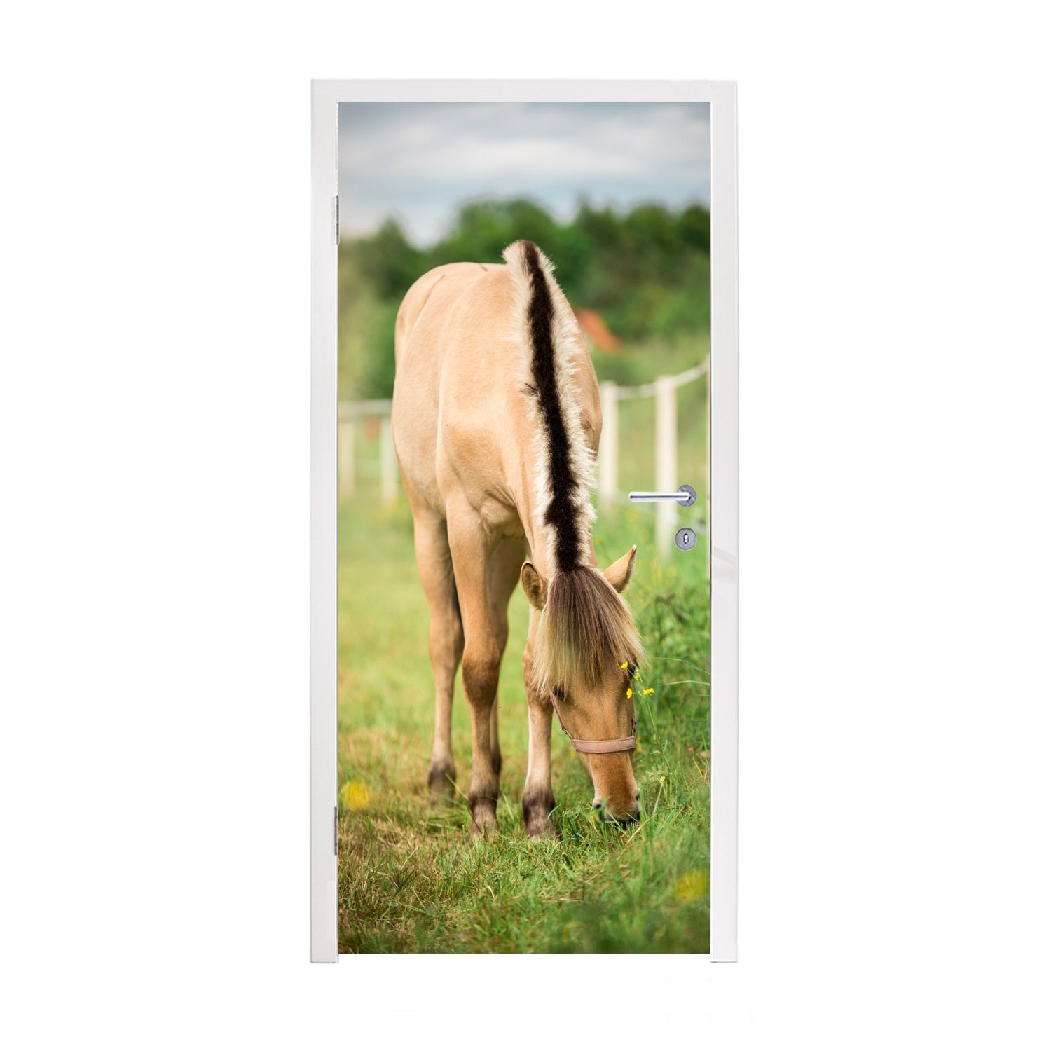 MuchoWow Türtapete Porträt eines Fjordpferdes auf einer Wiese, Matt, bedruckt, (1 St), Fototapete für Tür, Türaufkleber, 75x205 cm