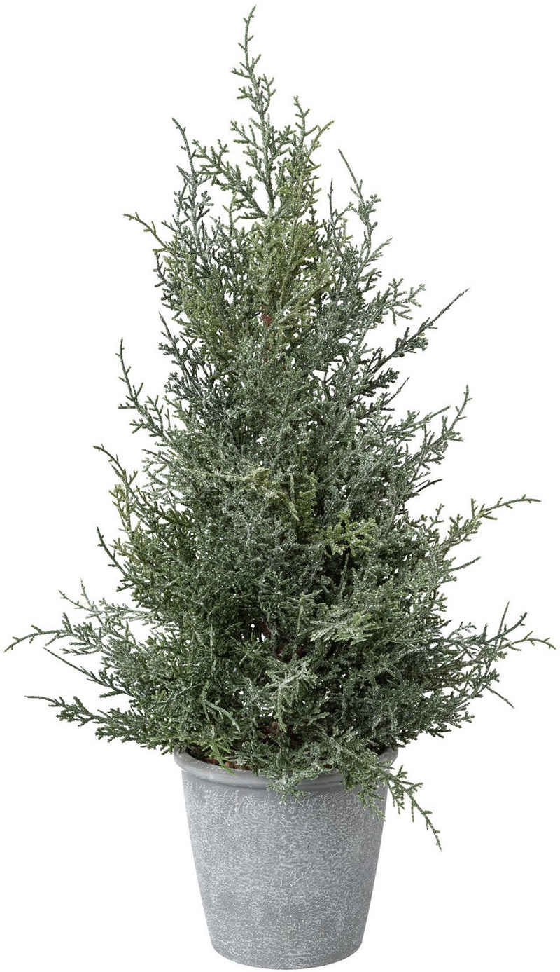 Winterliche Kunstpflanze Weihnachtsdeko Wacholder, Creativ deco, Höhe 55 cm, Baum in geeister Optik, im Topf