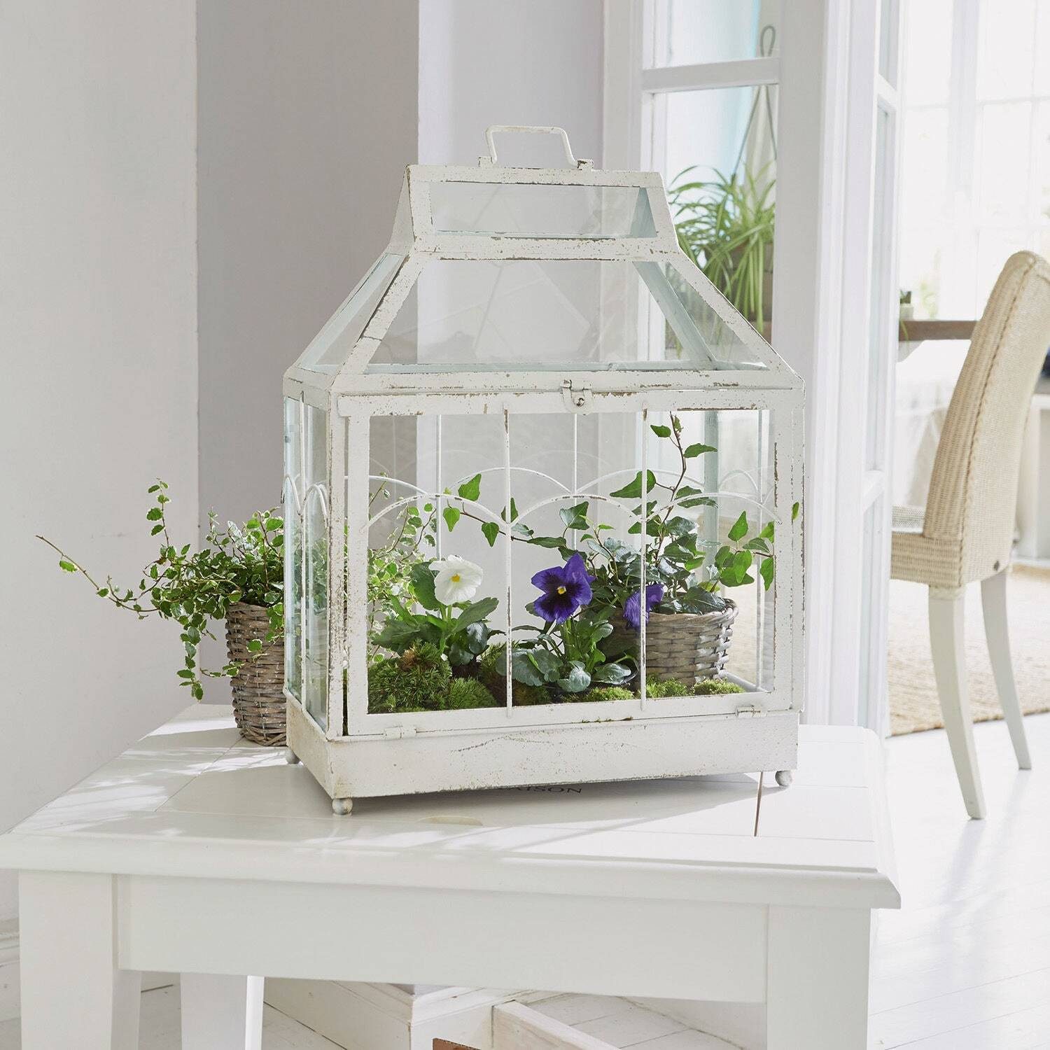 Mirabeau Kerzenlaterne Laterne Couriar antikweiß/klar günstig online kaufen