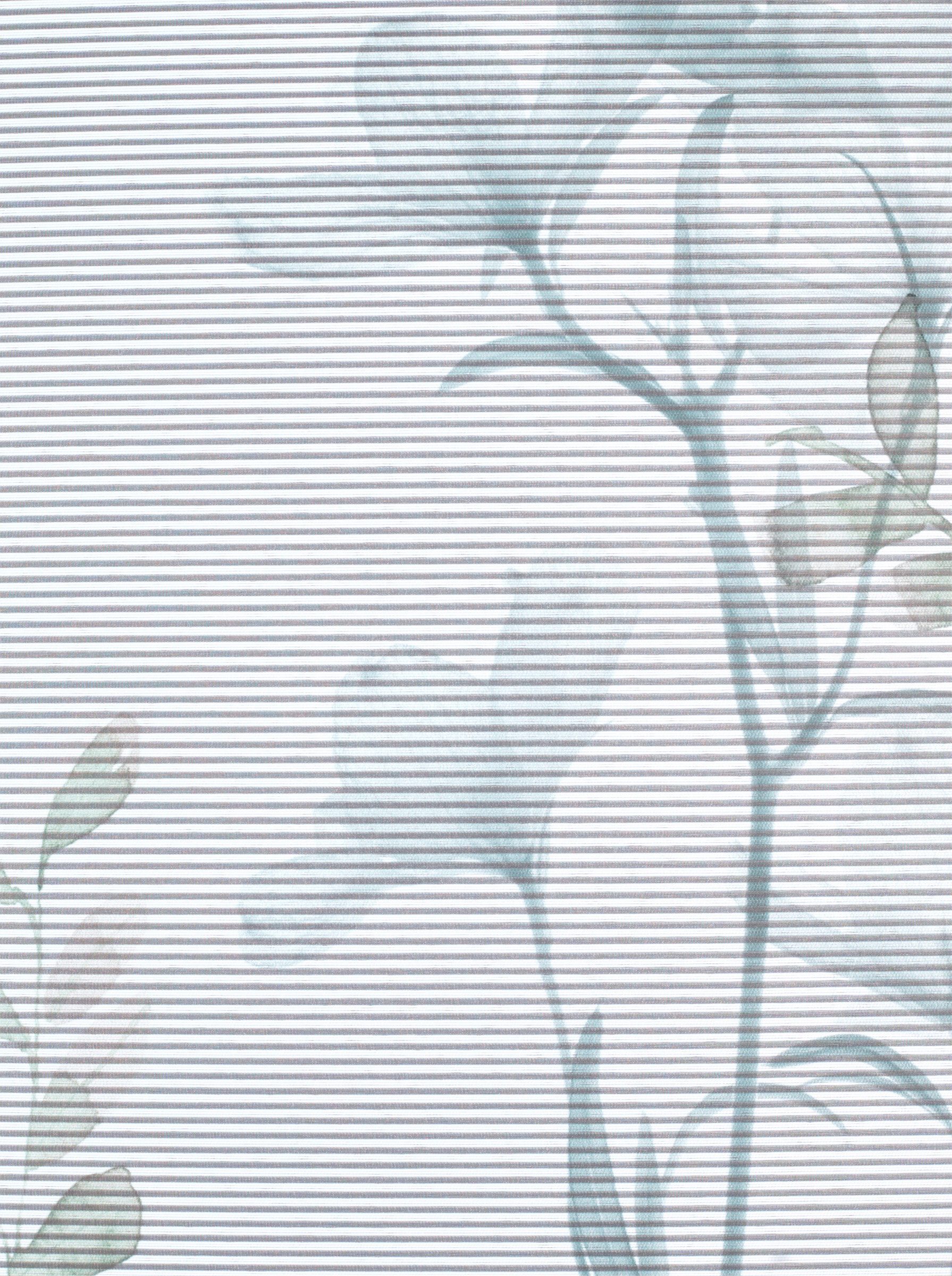 Detailansicht des Produkts 2