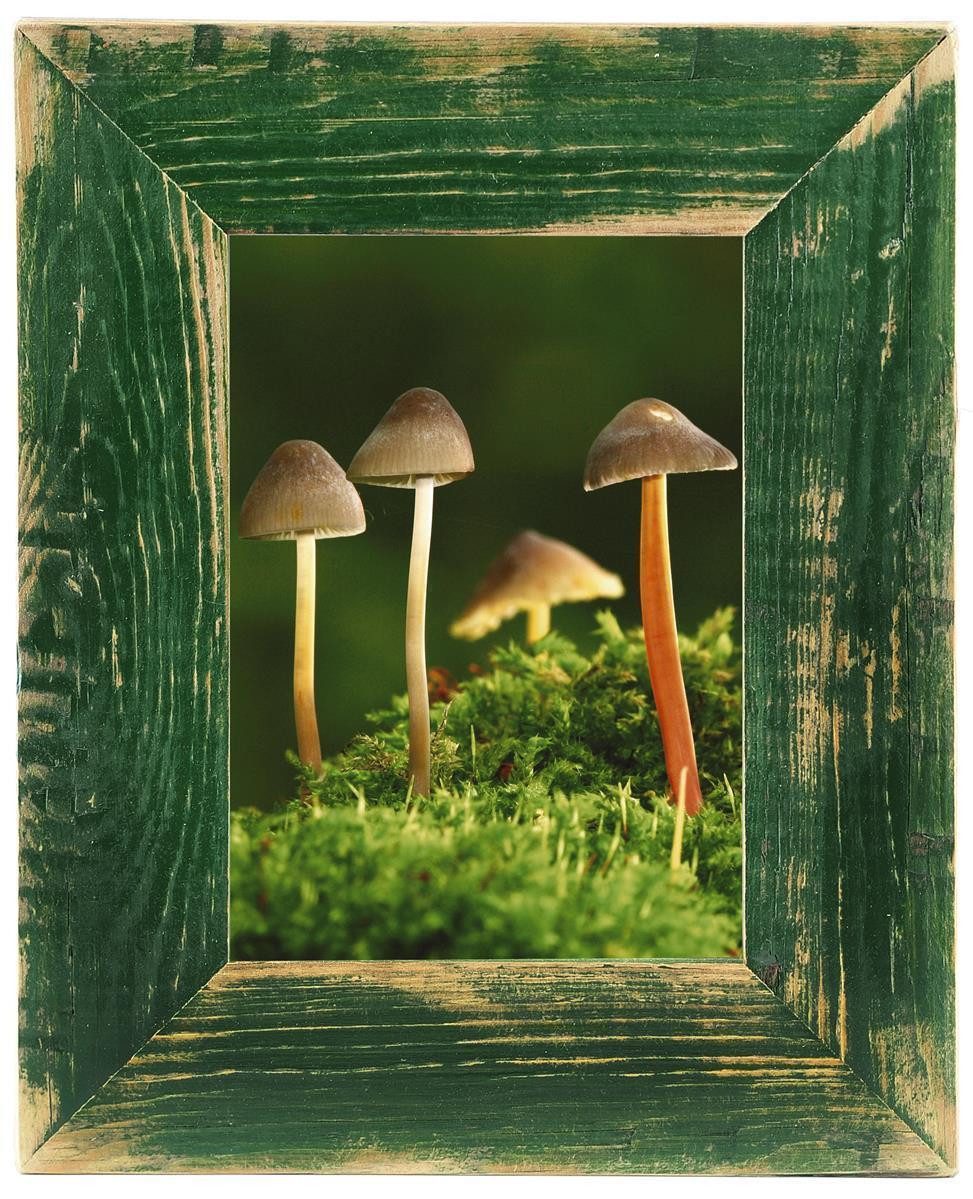 Mein Landhaus Bilderrahmen Mein Landhaus Bilderrahmen günstig online kaufen