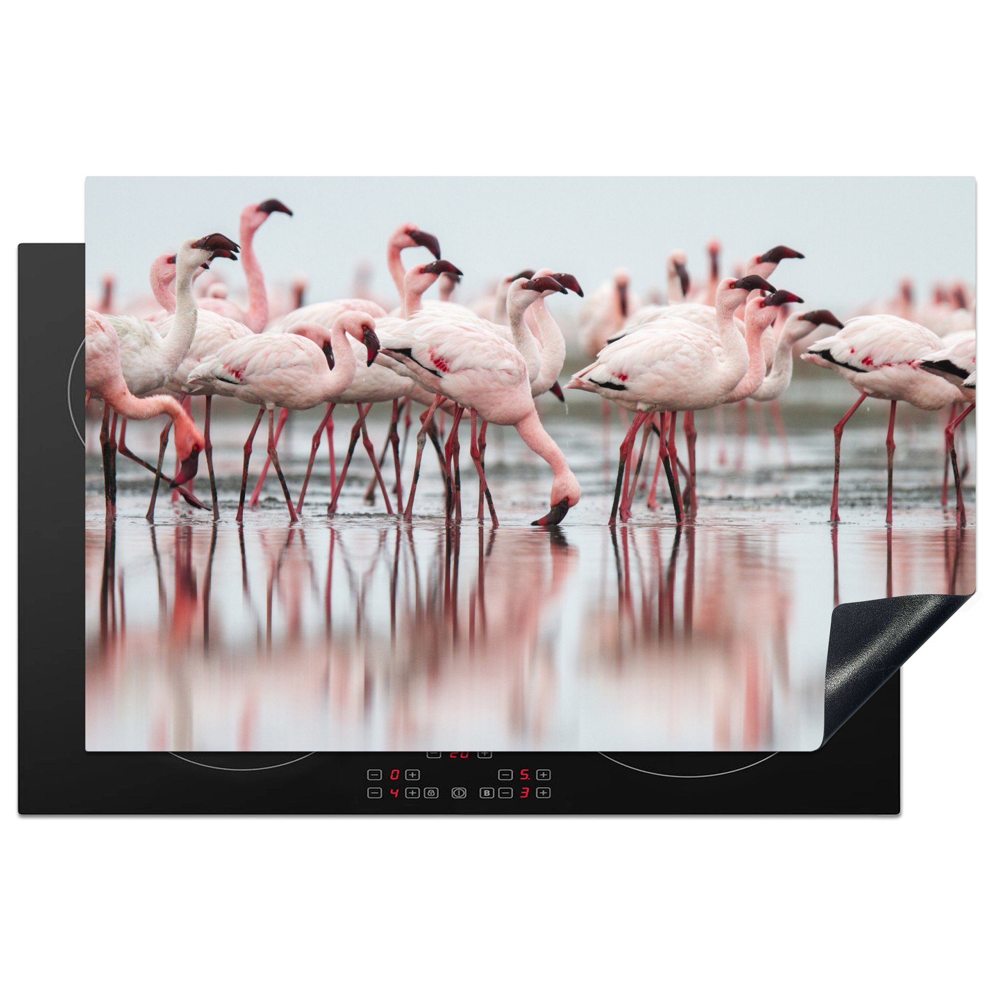MuchoWow Herdblende-/Abdeckplatte Eine Gruppe von blassrosa Flamingos steht im Wasser, Vinyl, (1 tlg), 81x52 cm, Induktionskochfeld Schutz für die küche, Ceranfeldabdeckung