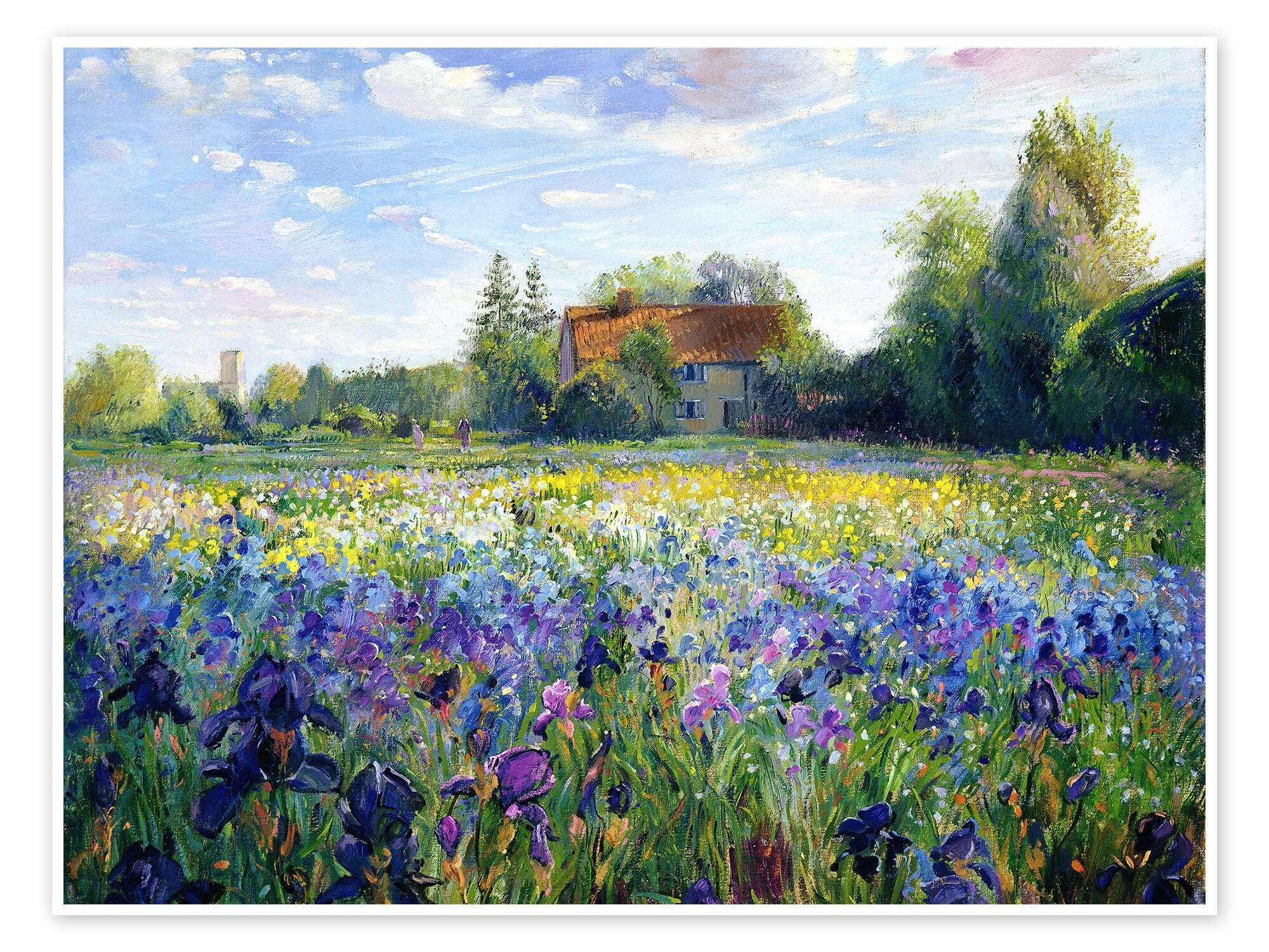 Posterlounge Poster Timothy Easton, Blumenfeld im günstig online kaufen