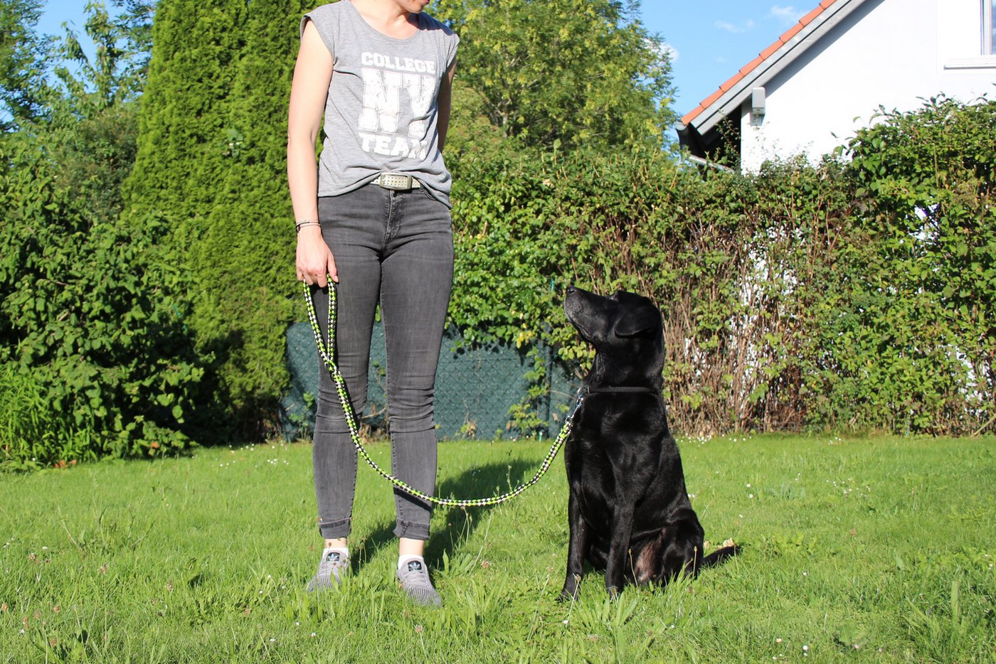 Thumbnail - Activity4Dogs Hundeleine große Hunde bis 60 kg, mehrfarbig geflochten, 1,2 m lang, mit Schlaufe, ohne Naht, Qualität aus...