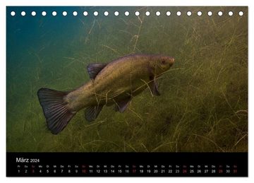 CALVENDO Wandkalender Unsere Seen (Tischkalender 2024 DIN A5 quer), CALVENDO Monatskalender