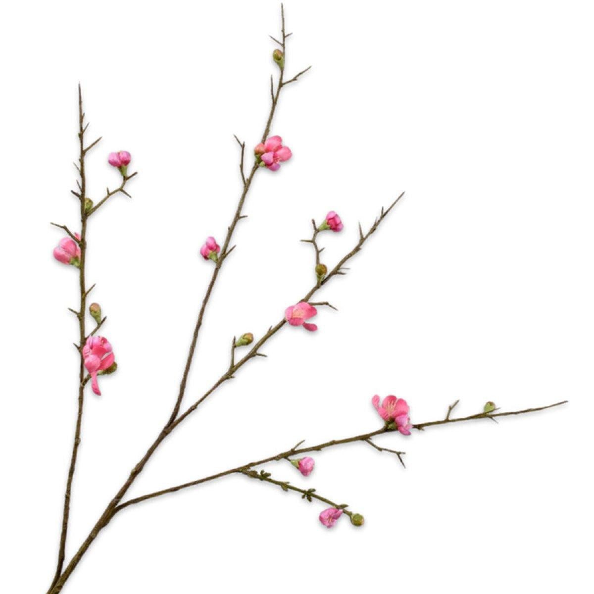 Künstliche Zimmerpflanze Seidenblume Japanischen Zierquitte Quittenzweig Pink (85cm), SILK-KA