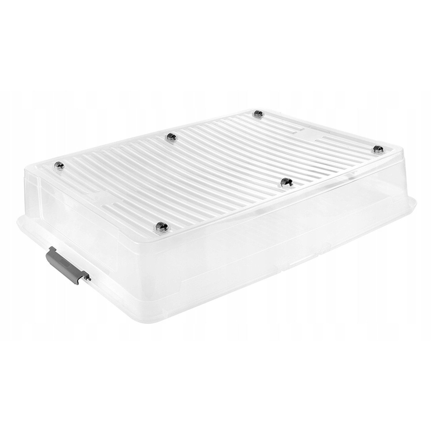 keeeper Aufbewahrungsbox für unter dem Bett mit Rollen und Deckel Leo 53 l (1 St), mit Clipverschluss