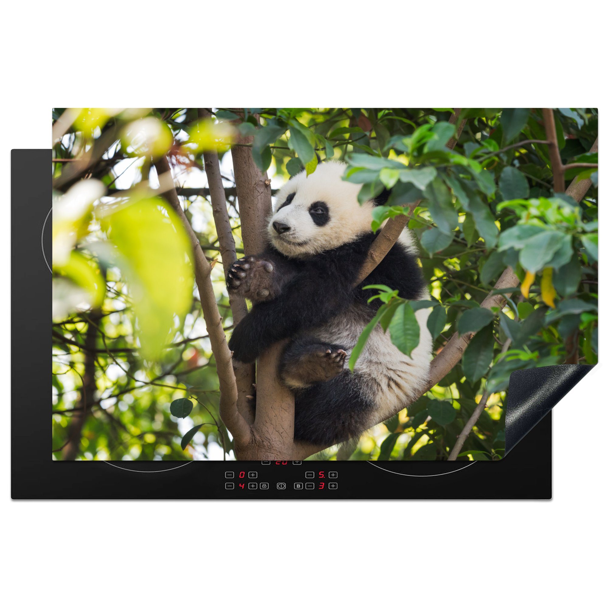 MuchoWow Herdblende-/Abdeckplatte Panda - Tier - Baum, Vinyl, (1 tlg), 81x52 cm, Induktionskochfeld Schutz für die küche, Ceranfeldabdeckung