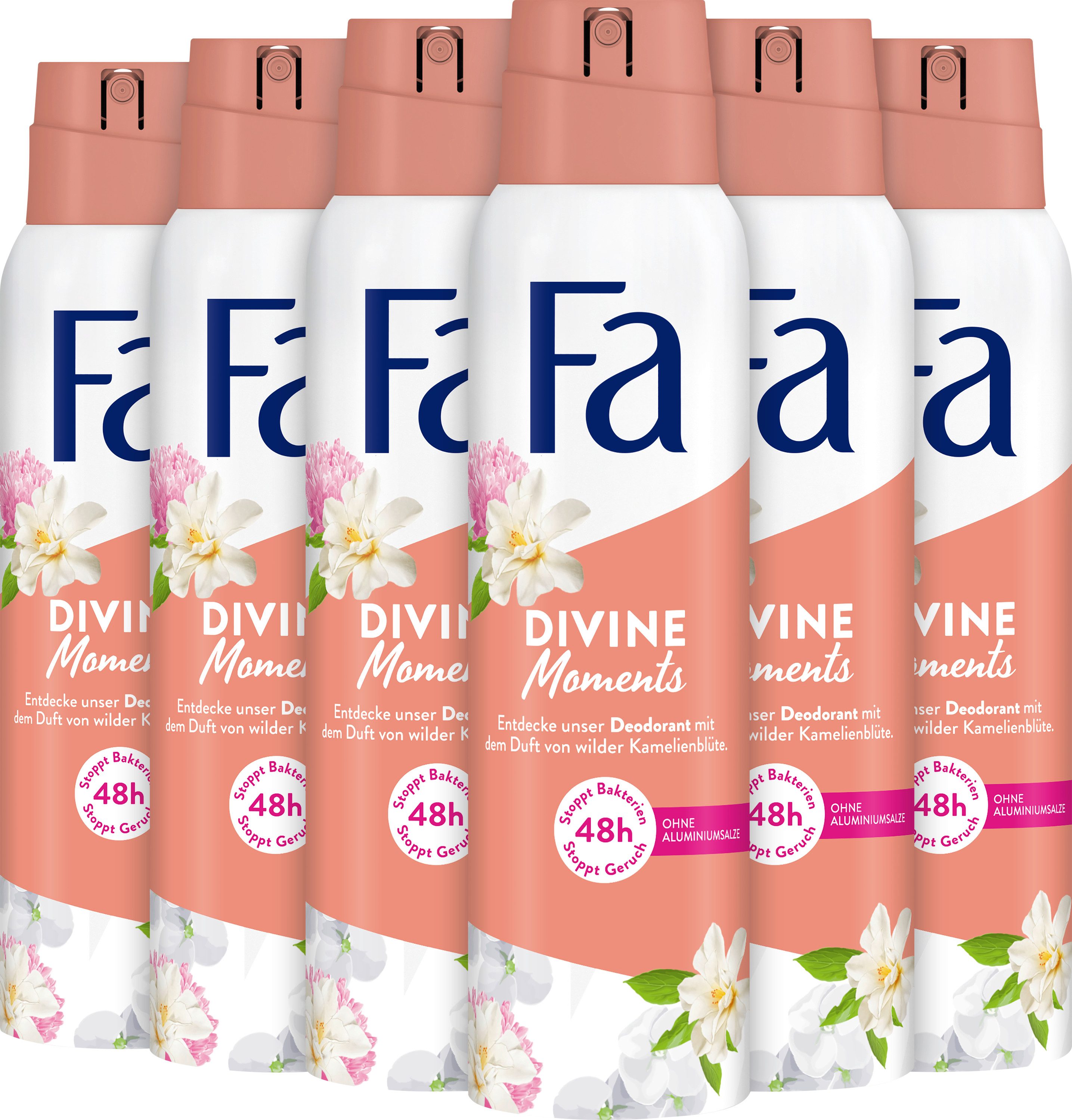FA Deo-Spray Divine Moments, 6x 150 ml, Vorratspack, 6-tlg.