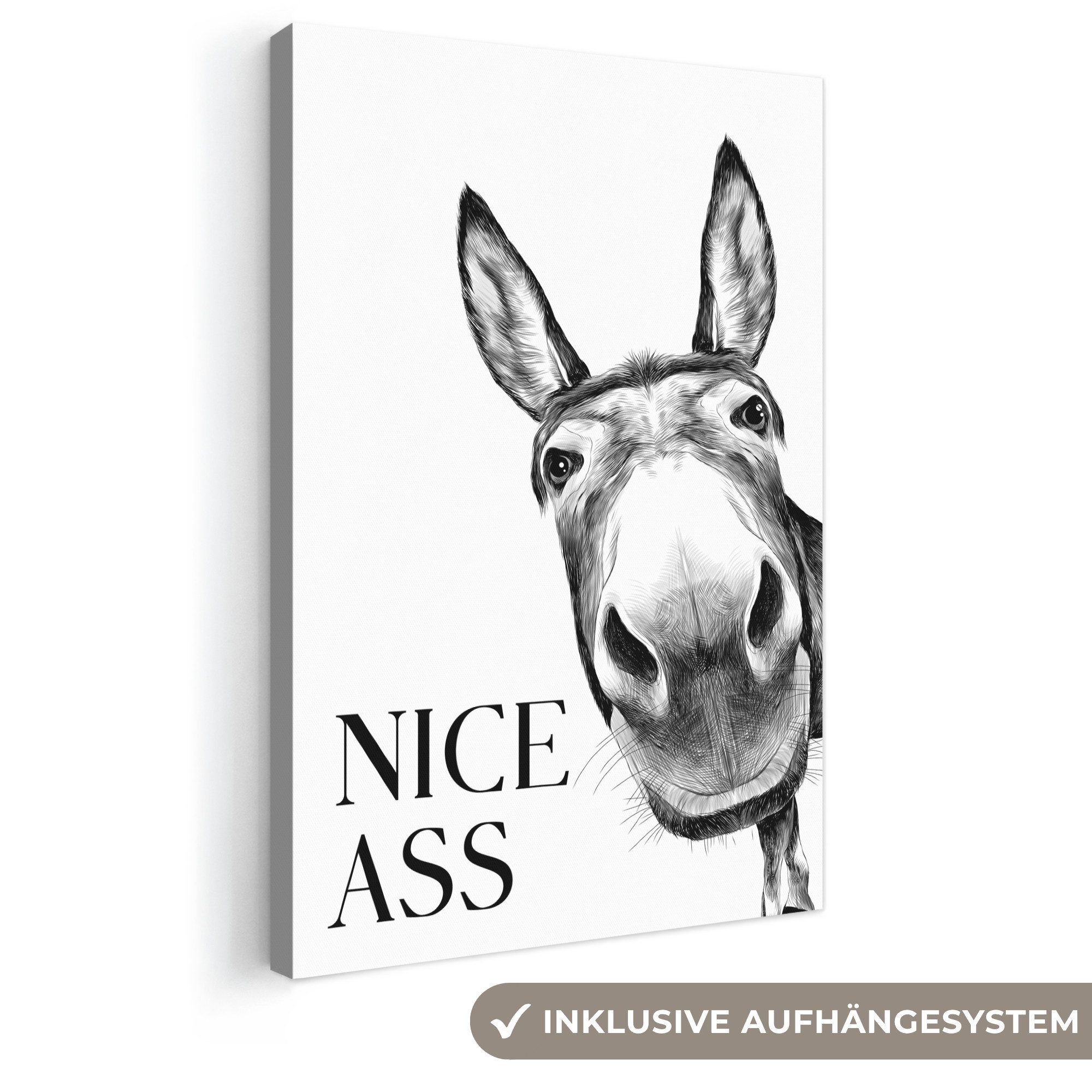 OneMillionCanvasses® Leinwandbild Zitat - Esel - Dieren - Nice ass - Sprüche, Fotodruck (1 St), Leinwand Canvas Wandbild, Wanddekoration 20x30 cm