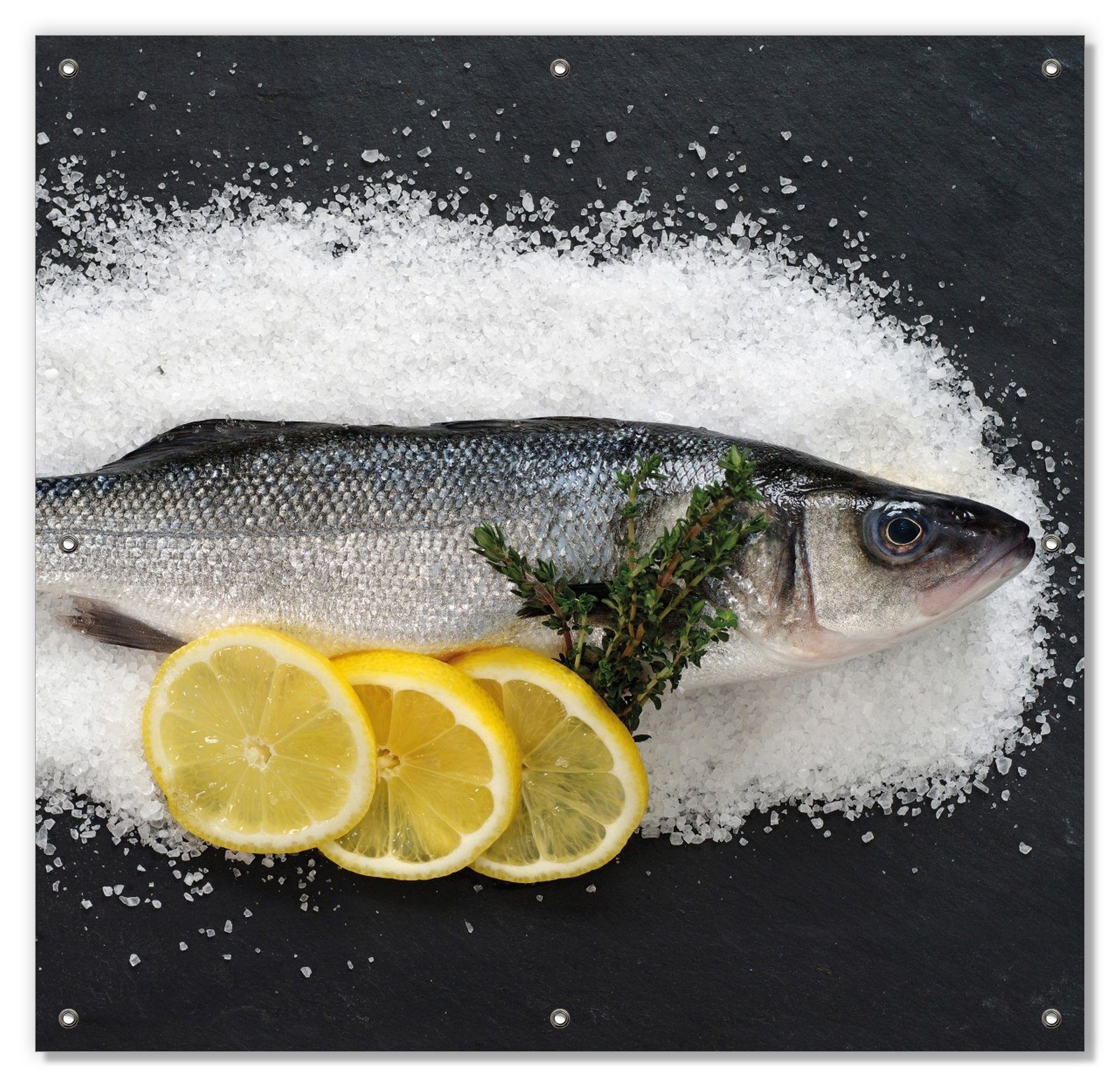 Sonnenschutz Fischmenü - Frischer Fisch auf Salz mit Zitronen, Wallario, blickdicht, mit Saugnäpfen, wiederablösbar und wiederverwendbar