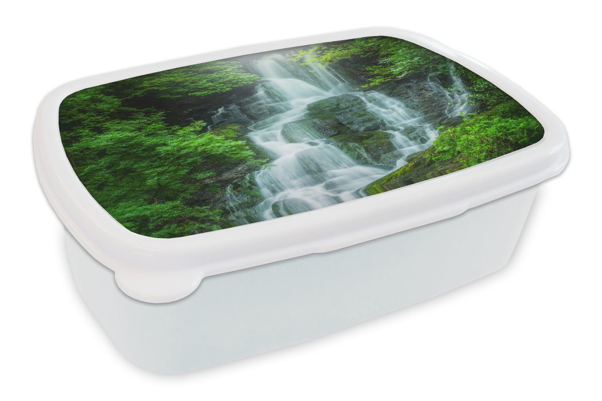 MuchoWow Lunchbox Wasserfall in Irland, Kunststoff, (2-tlg), Brotbox für Kinder und Erwachsene, Brotdose, für Jungs und Mädchen weiß