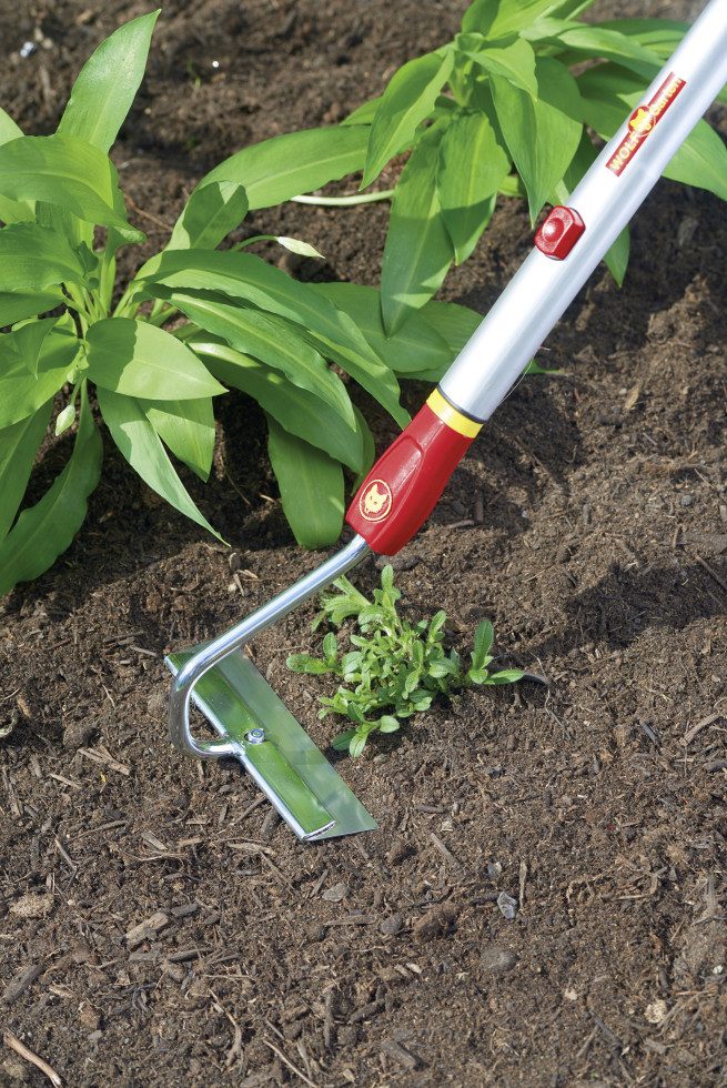 WOLF-Garten Unkrautstecher Wolf Garten Ziehhacke HU-M 15 15 cm Arbeitsbreite