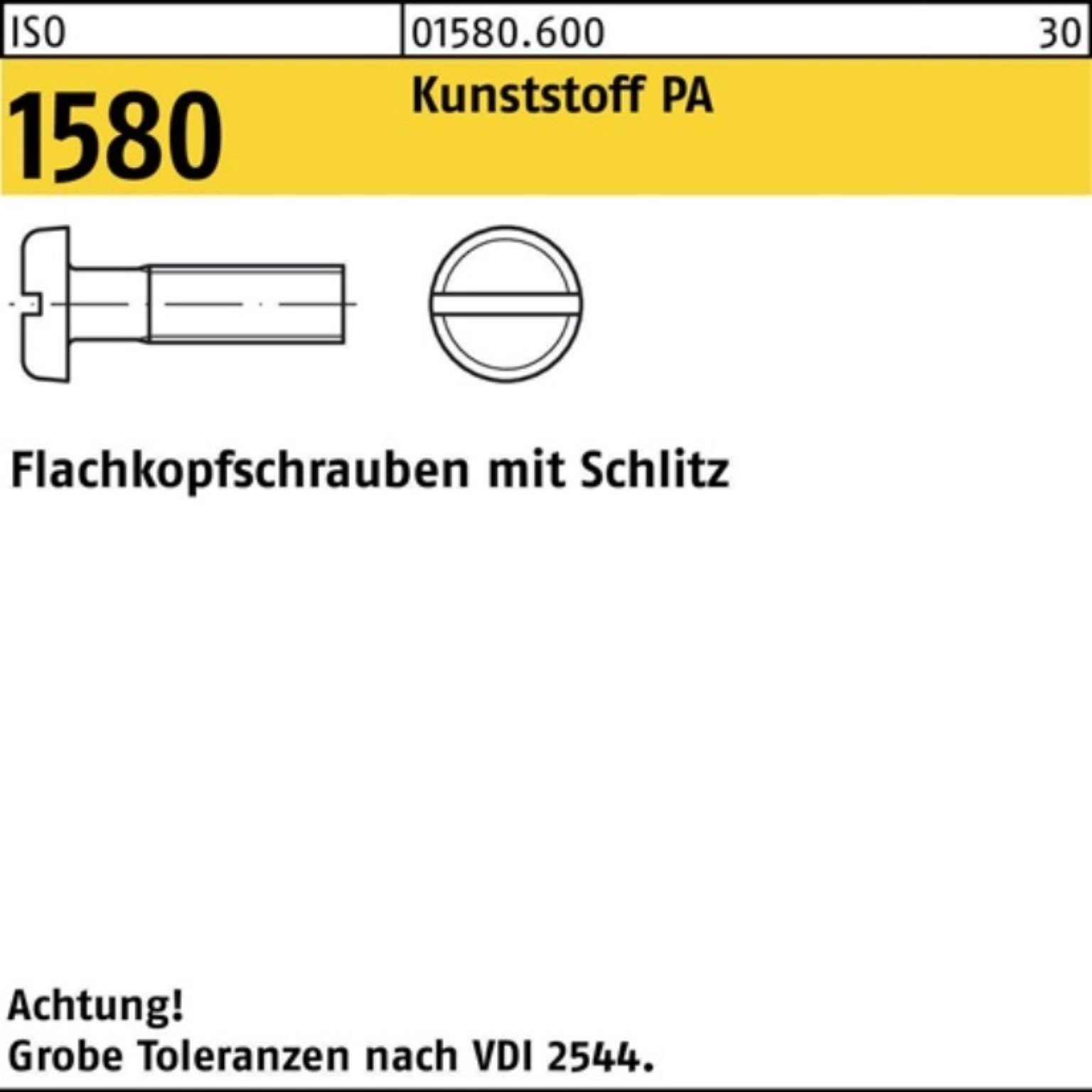 Reyher Schraube 30 Polyamid Pack Stü Schlitz 200er ISO 1580 M6x Flachkopfschraube 200