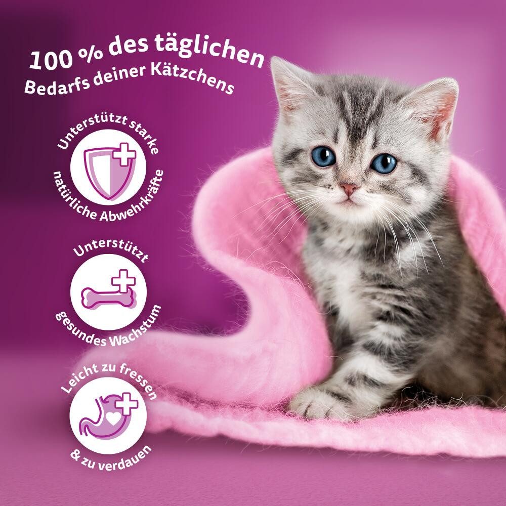 Whiskas WHISKAS® Katzenfutter Trockenfutter Junior Huhn 2 x 7kg, Trockenfutter für: Katze