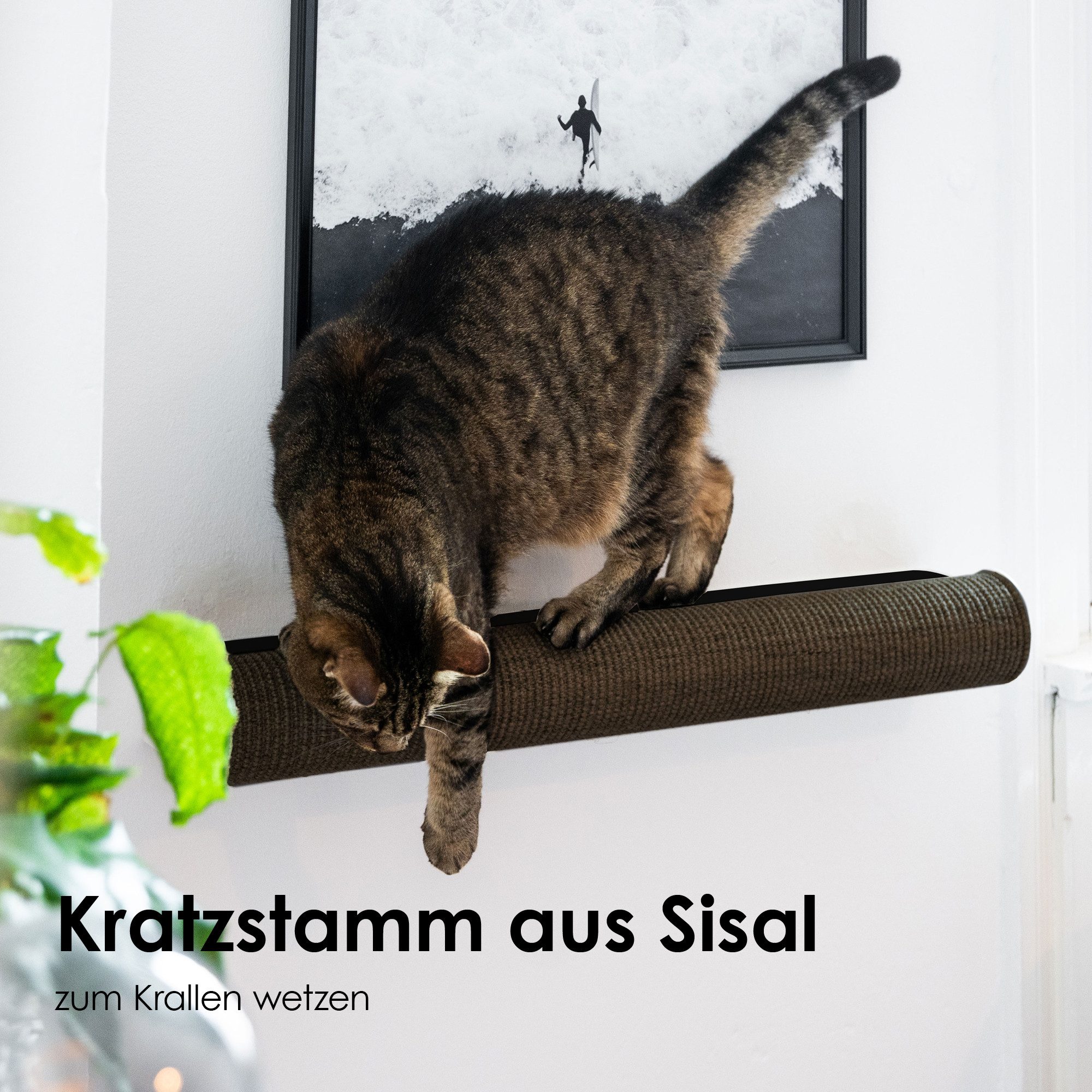 LucyBalu Kratzsäule CATWALK Kratzstamm, (für Katzen, zur Krallenpflege), Kratzstamm austauschbar