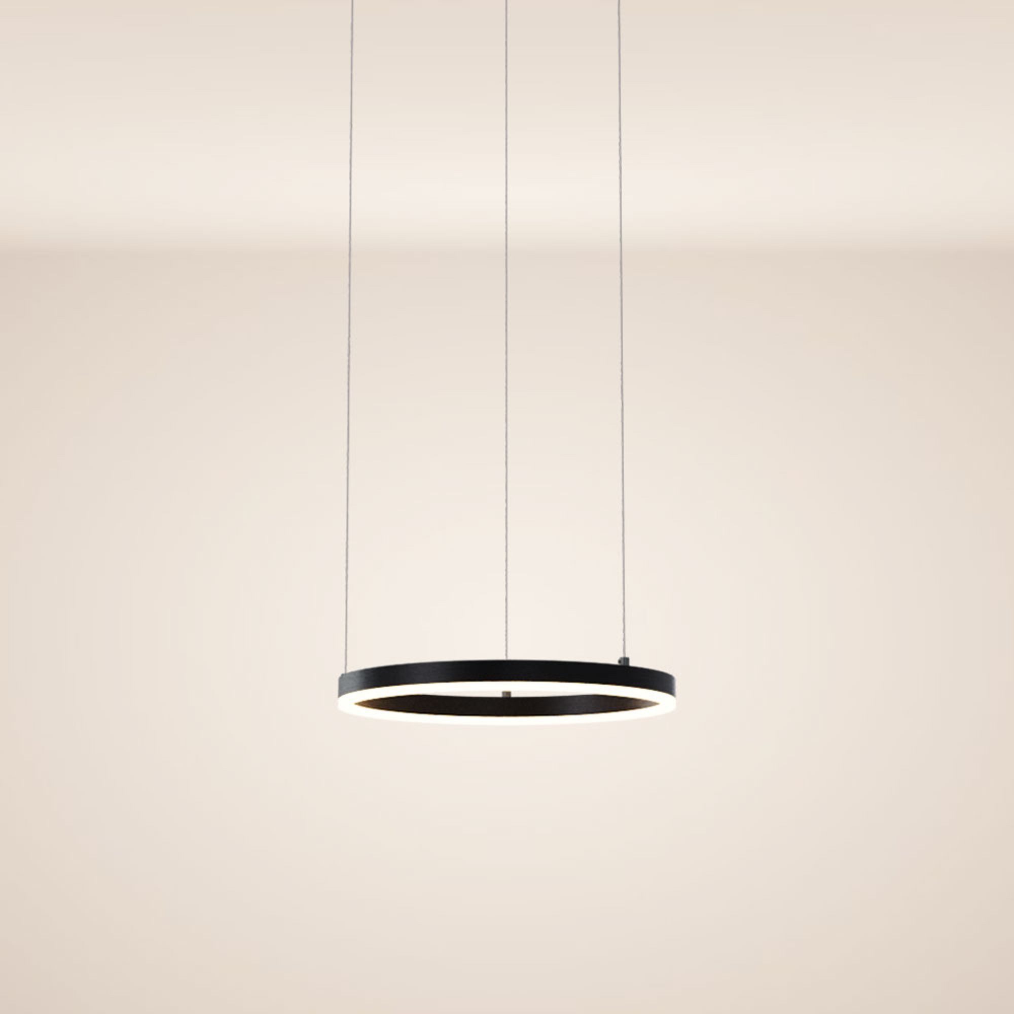 s.luce Pendelleuchte LED Pendelleuchte Ring 40 direkt oder indirekt 5m Abhängung Schwarz, Warmweiß