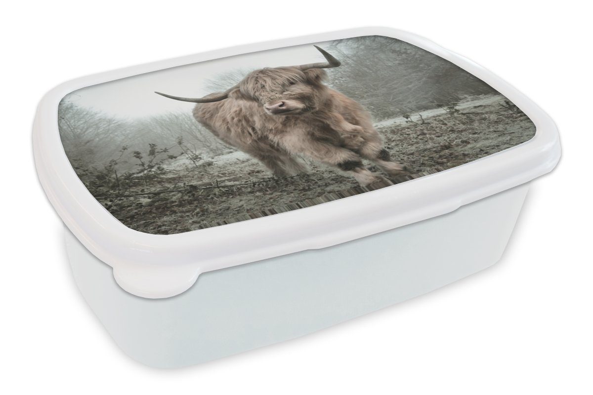 MuchoWow Lunchbox Schottische Highlander - für Brotdose, und Natur Herbst (2-tlg), Erwachsene, für Mädchen und weiß - Jungs Wildtiere Tiere Kunststoff, Brotbox Wald, - - Kinder 