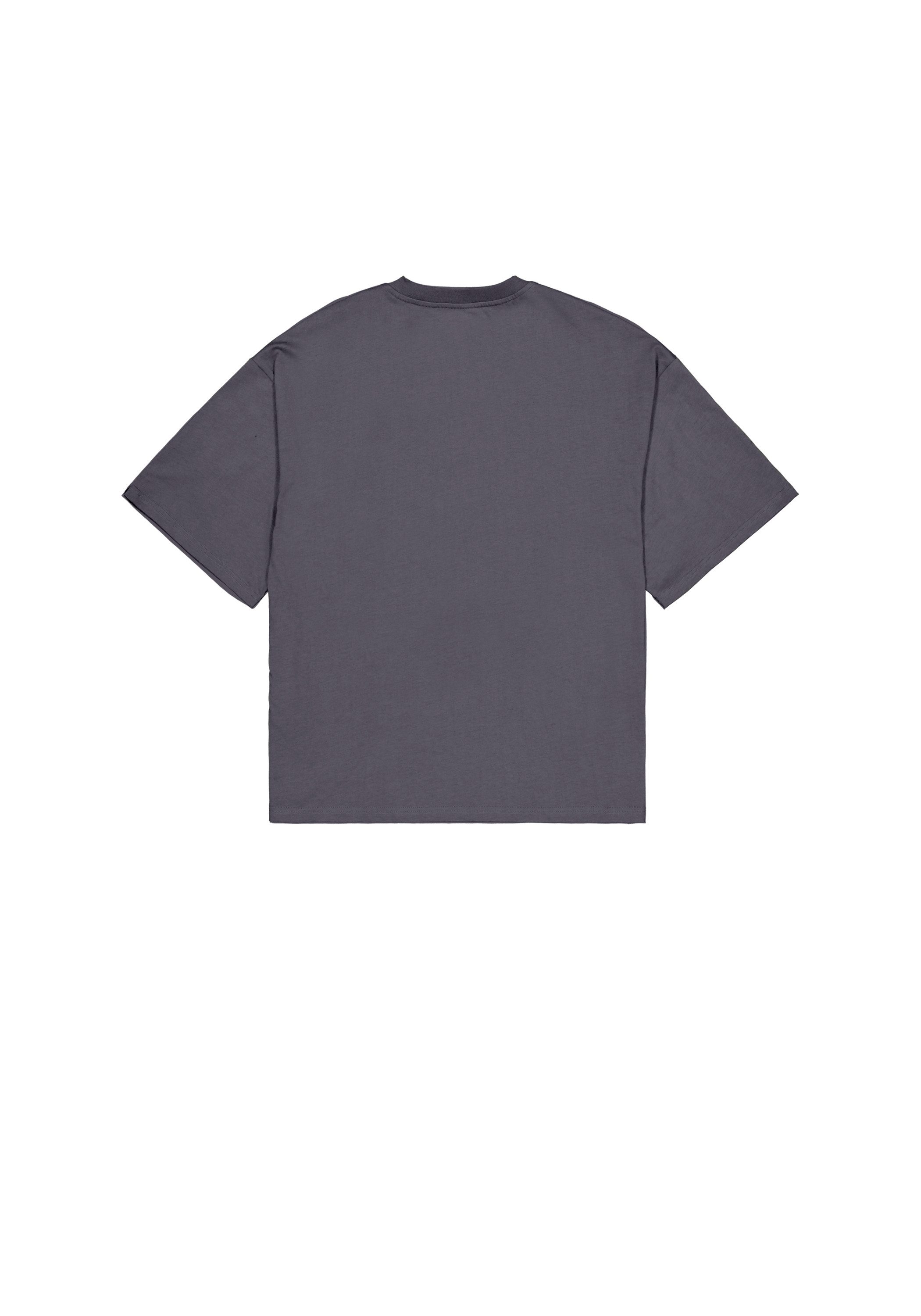 Alpha Industries T-Shirt Studio Edition Vibe T-Shirt