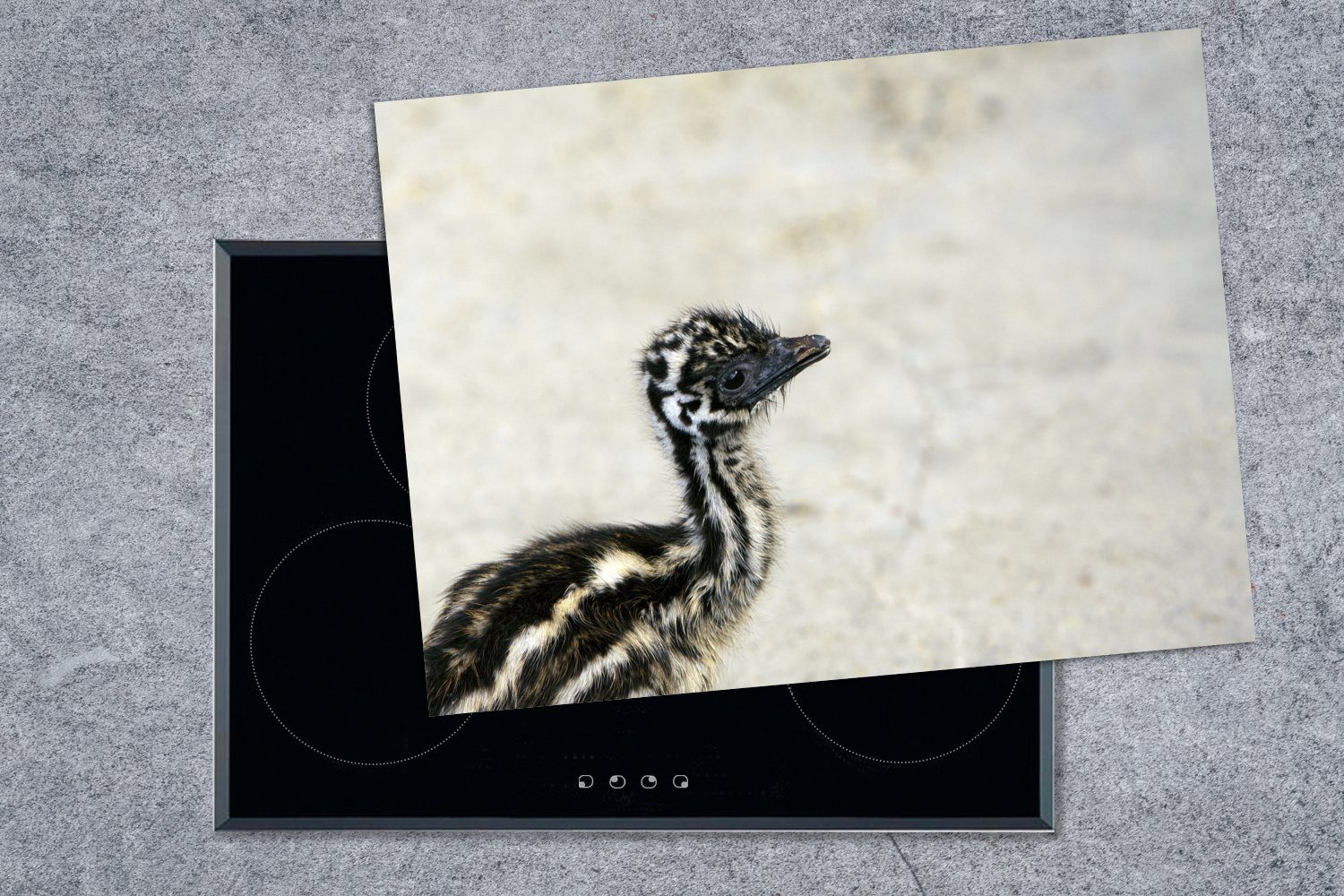 MuchoWow Herdblende-/Abdeckplatte Baby-Emu mit hellem tlg), Vinyl, 70x52 cm, Arbeitsfläche Mobile (1 Ceranfeldabdeckung nutzbar, Hintergrund