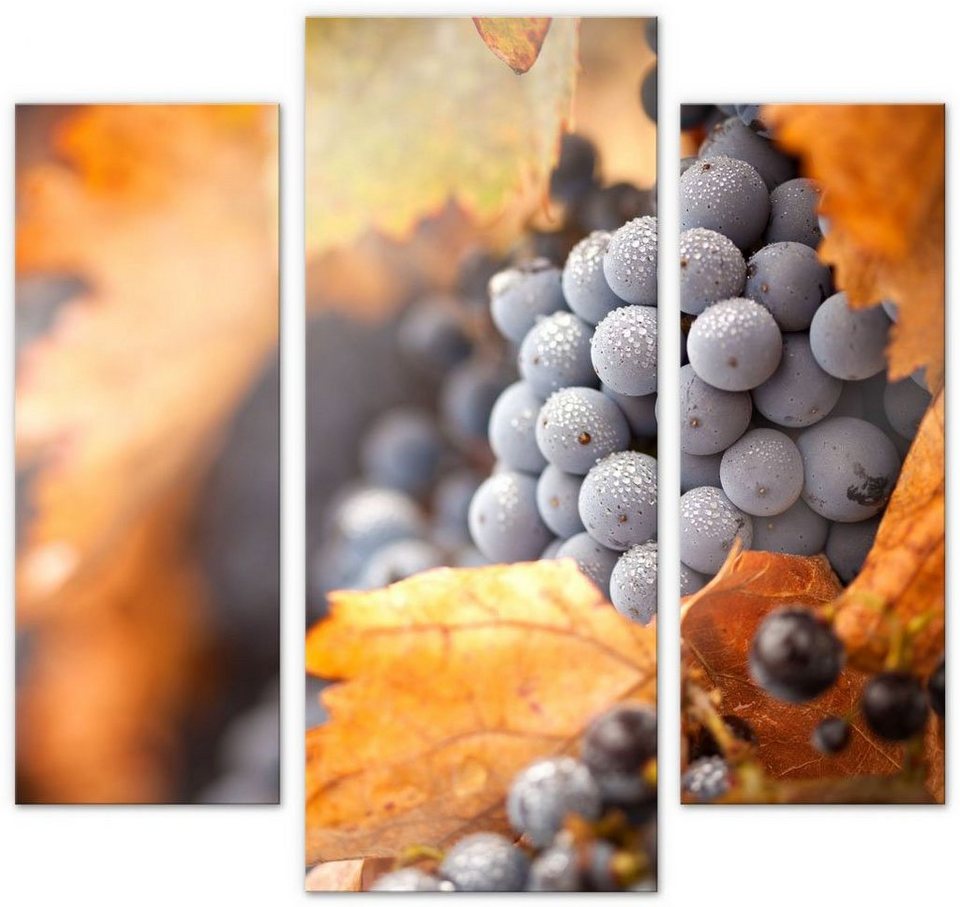 Wall-Art Mehrteilige Bilder Wein im Herbst Deko (3-teilig), (Set, 3 St)