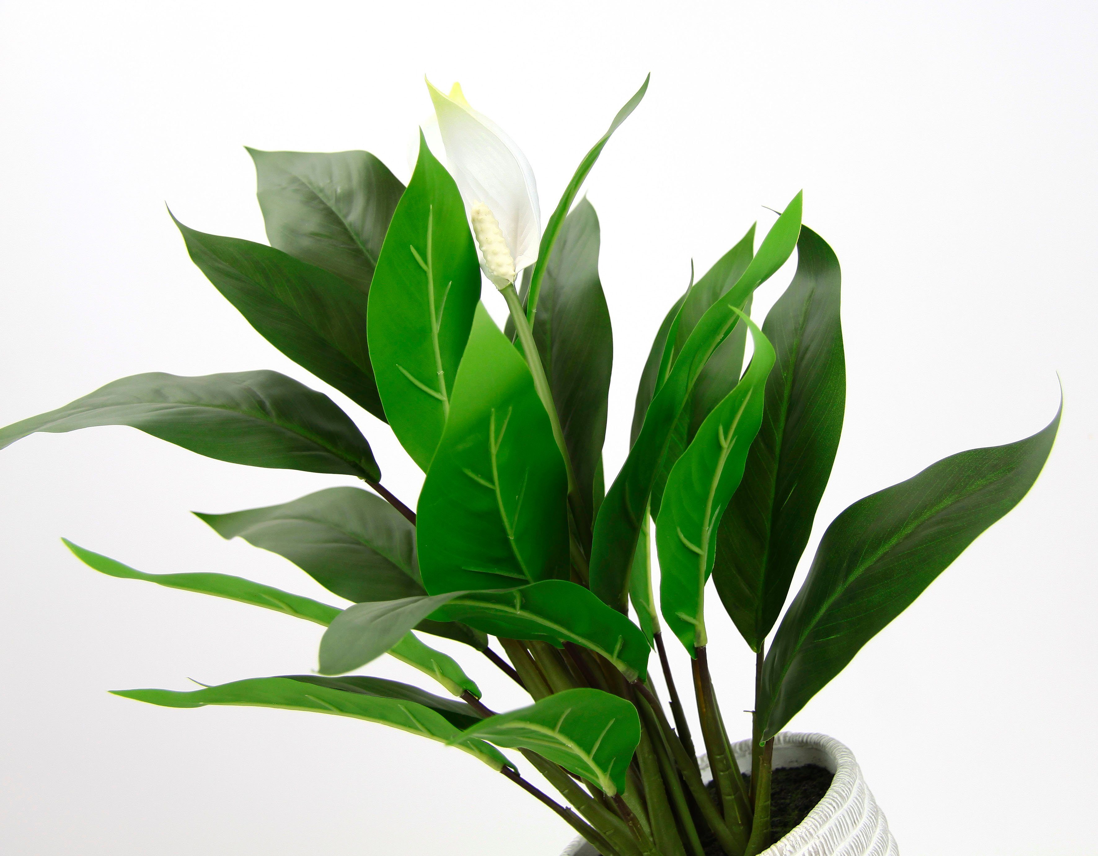 Kunstpflanze Spathiphyllum, I.GE.A., Höhe 48 cm, im Topf Anthurie Calla Fla günstig online kaufen