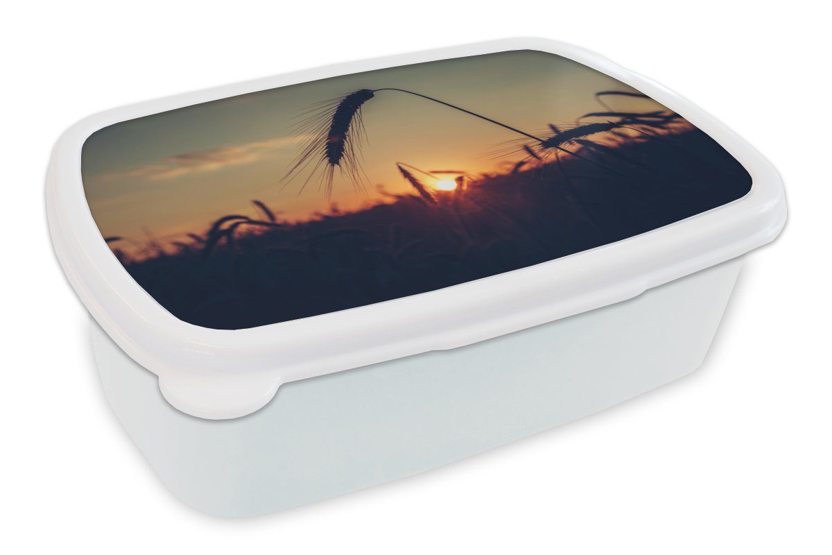 MuchoWow Lunchbox Gras - Herbst - Sonnenuntergang - Jahreszeiten - Landschaft, Kunststoff, (2-tlg), Brotbox für Kinder und Erwachsene, Brotdose, für Jungs und Mädchen weiß