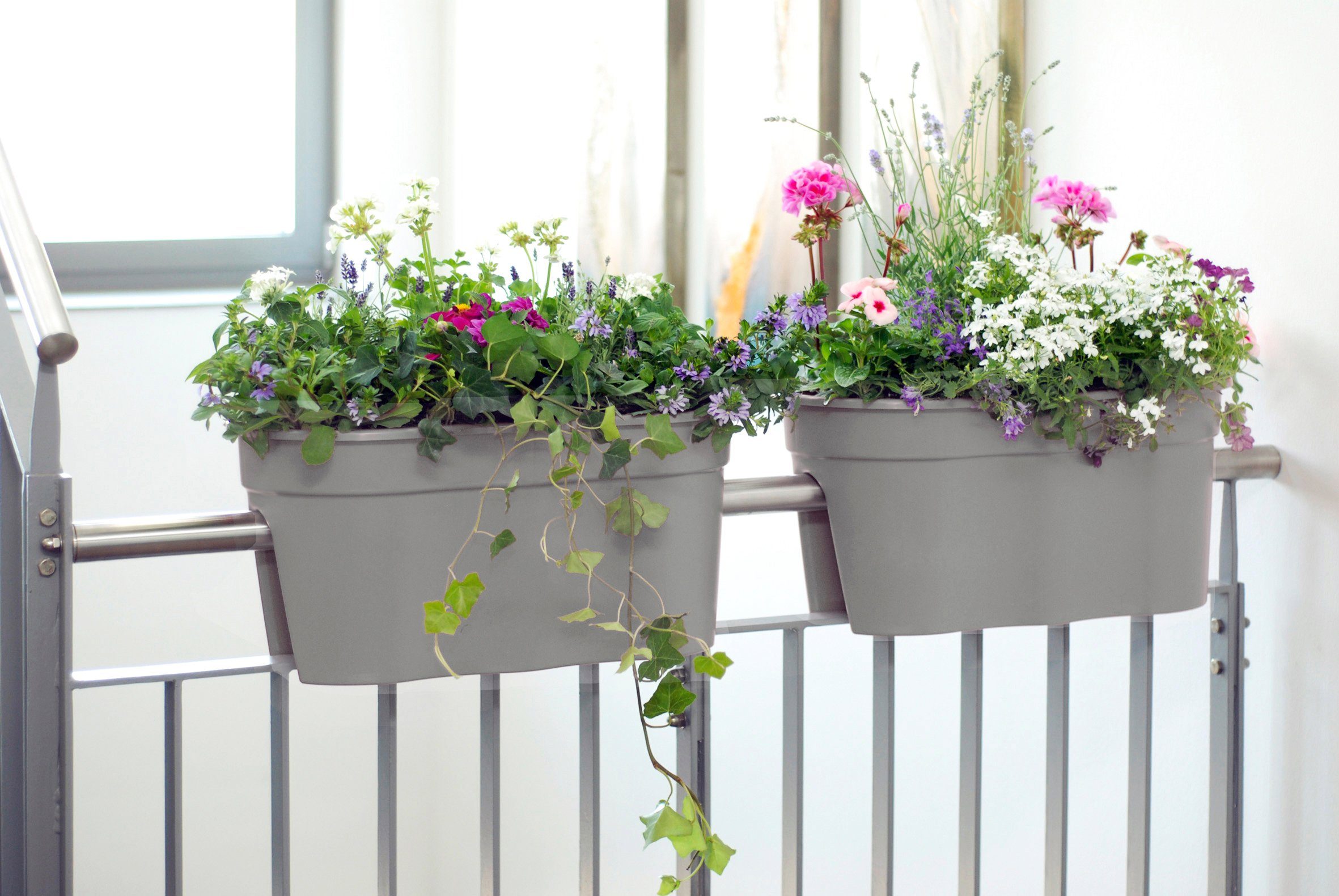 KHW Balkonkasten »Flowerclip XL« (Set, 2 Stück), BxTxH 57x27x28 cm