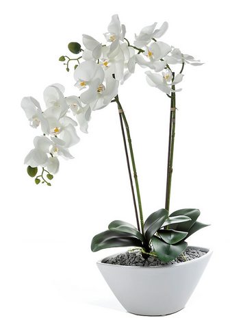  Искусственное растение »Orchidee...