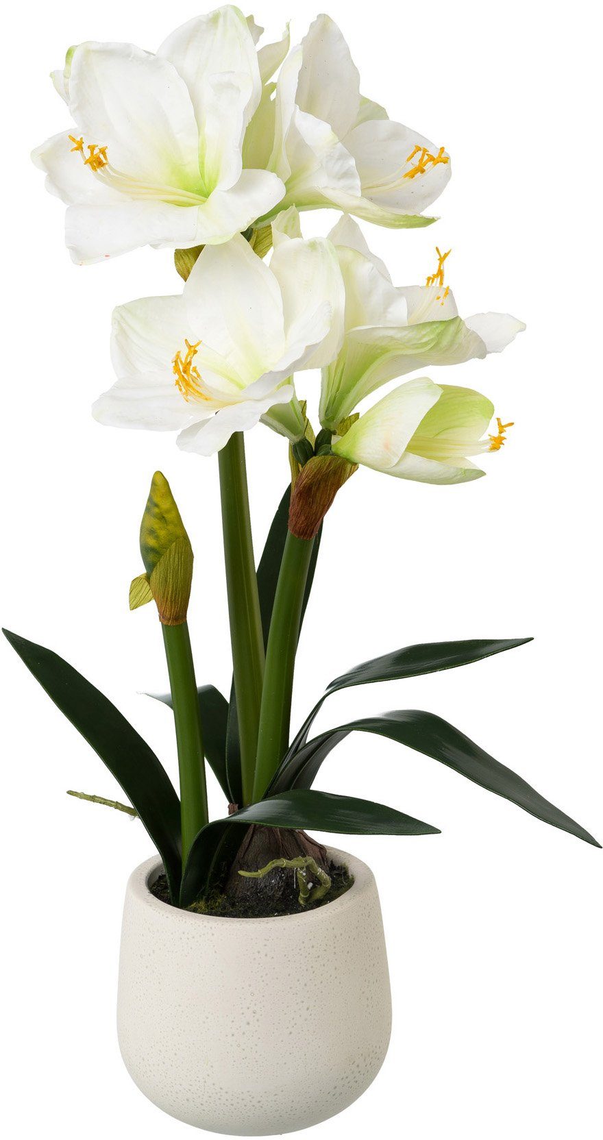 Winterliche Creativ Pflanze green, Amaryllis, Real-Toch-Blüten, Höhe 60 Weihnachtsdeko Keramiktopf Kunstpflanze cm, im