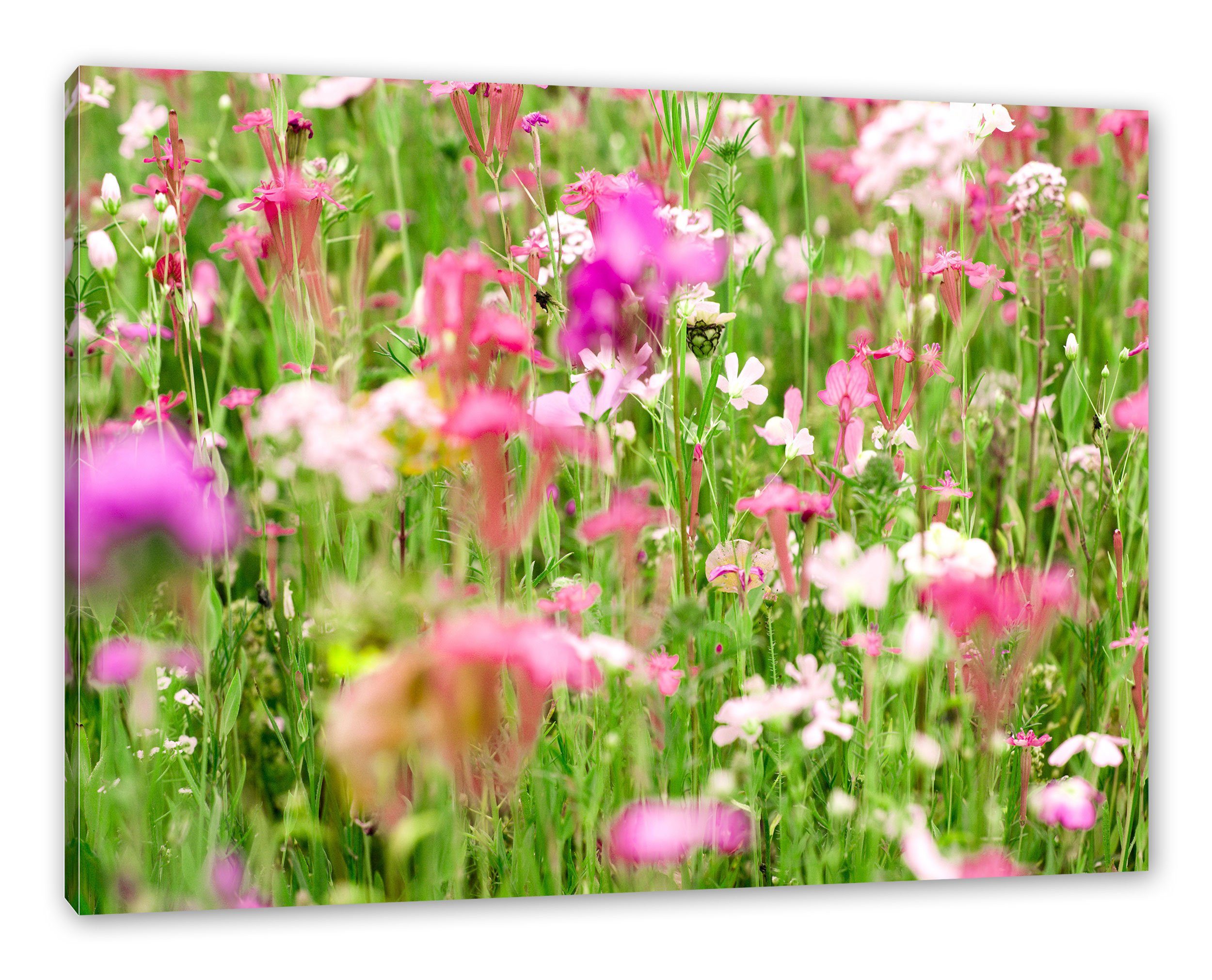 (1 fertig Leinwandbild Wundervolle Zackenaufhänger inkl. St), Blumenwiese Pixxprint Wundervolle Blumenwiese, bespannt, Leinwandbild