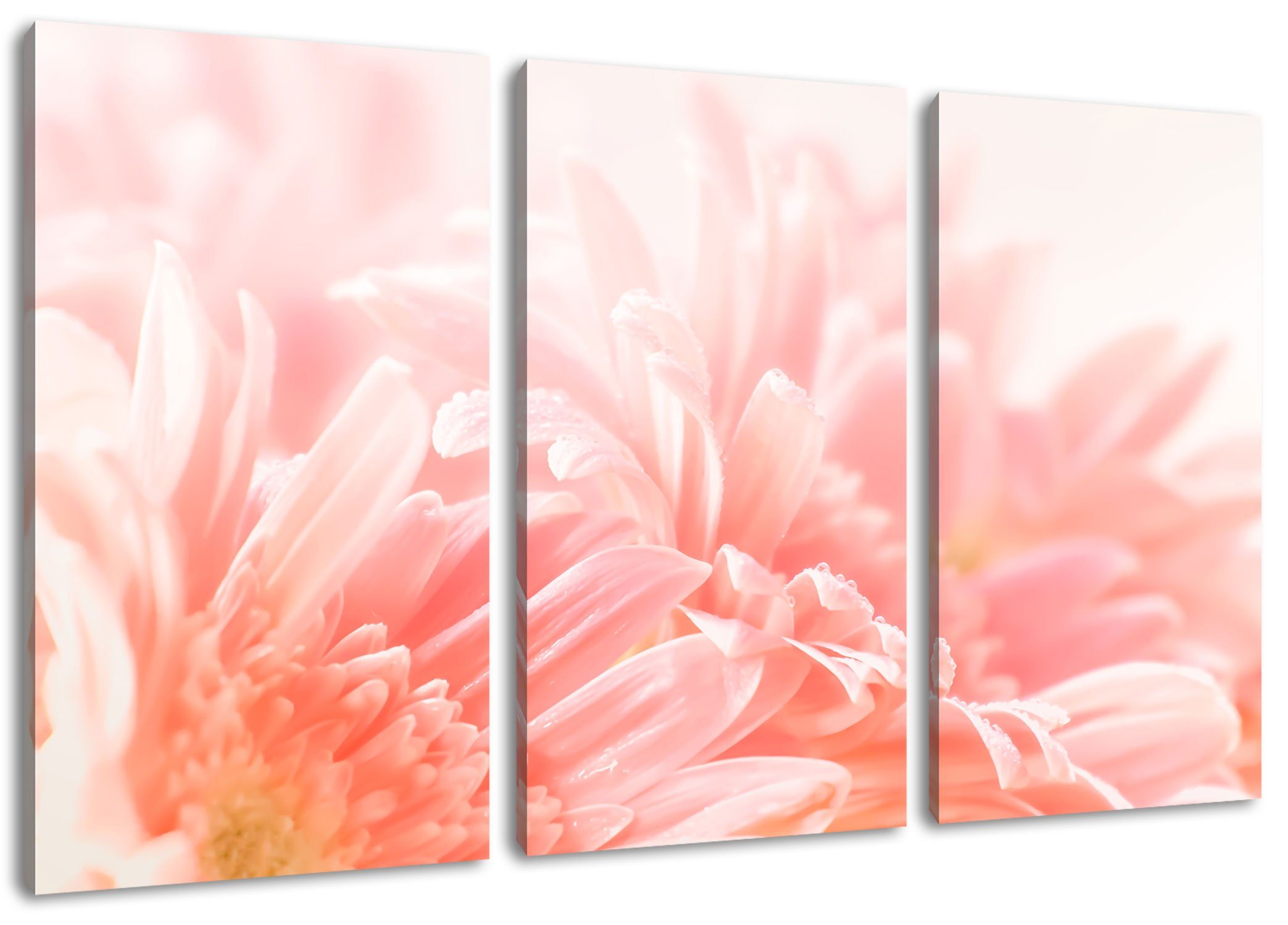 Pixxprint Leinwandbild Gerbera Zackenaufhänger (1 inkl. Blume, Blume bespannt, 3Teiler Gerbera fertig Leinwandbild (120x80cm) St)