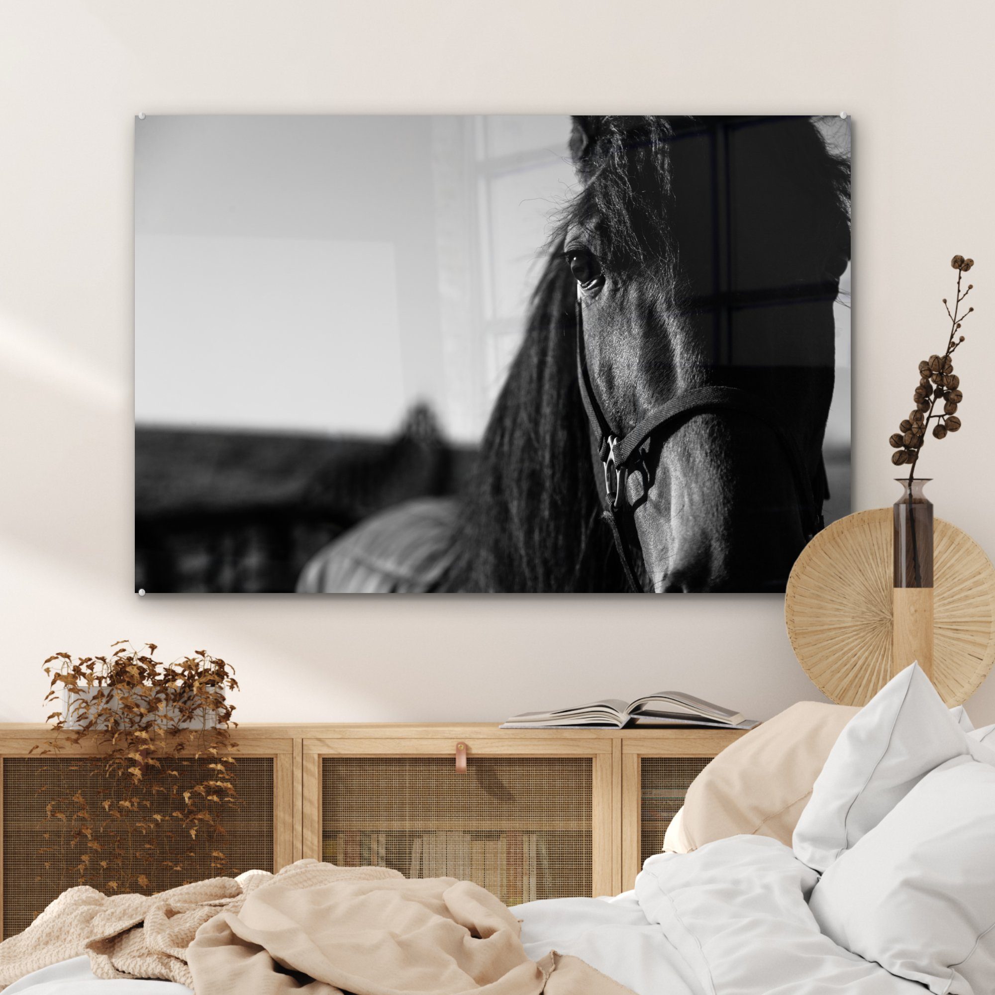 mit Wohnzimmer Halfter Pferdes eines (1 Schlafzimmer & Acrylglasbilder in schwarz-weiß, MuchoWow Nahaufnahme Acrylglasbild St),