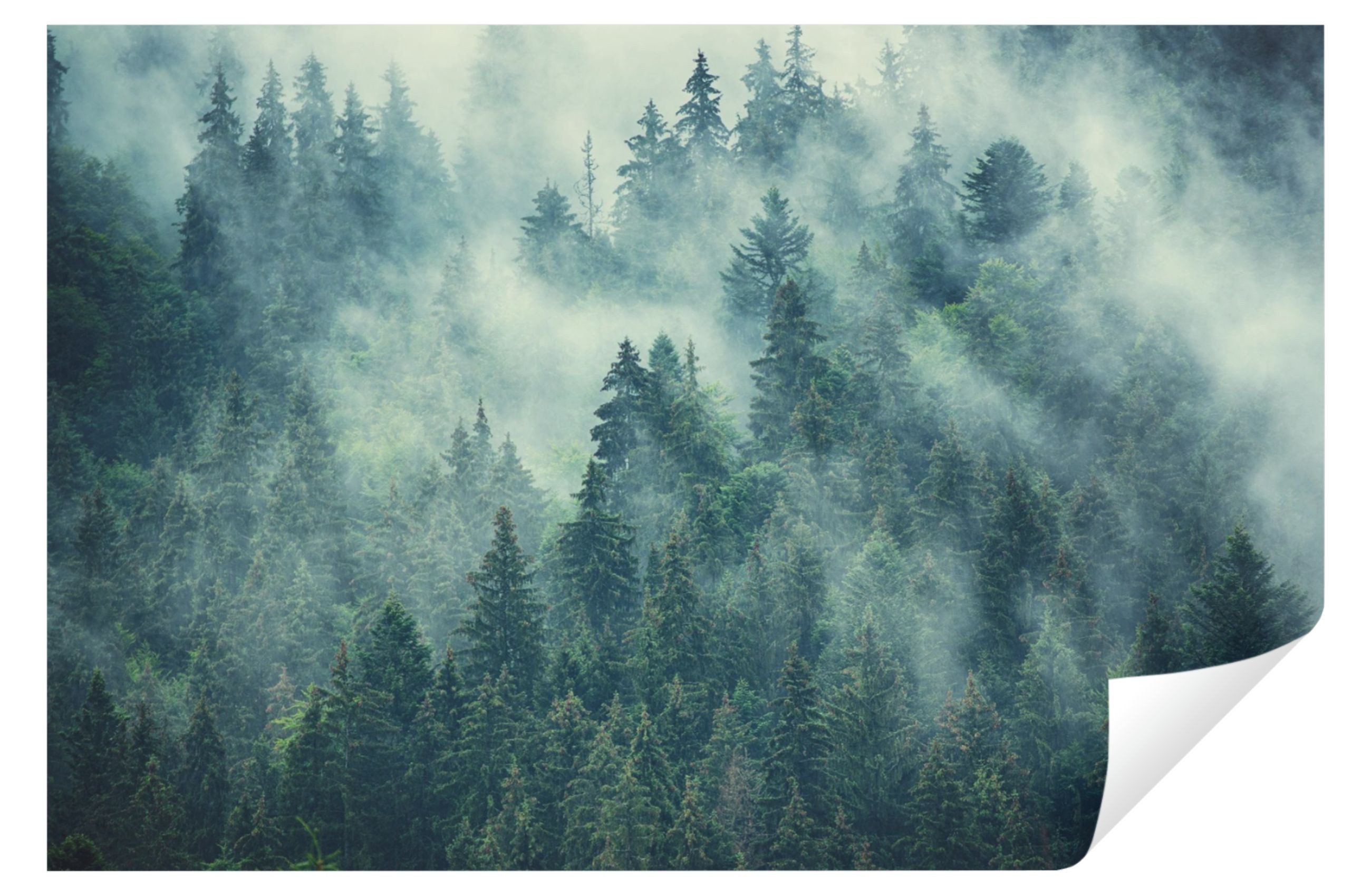 Wallarena Fototapete Wald im Nebel Natur Wohnzimmer Schlafzimmer Vlies Tape günstig online kaufen