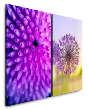 Sinus Art Leinwandbild 2 Bilder je 60x90cm Koralle Violett Pusteblume Sommer Sonne Warm Sonnenschein