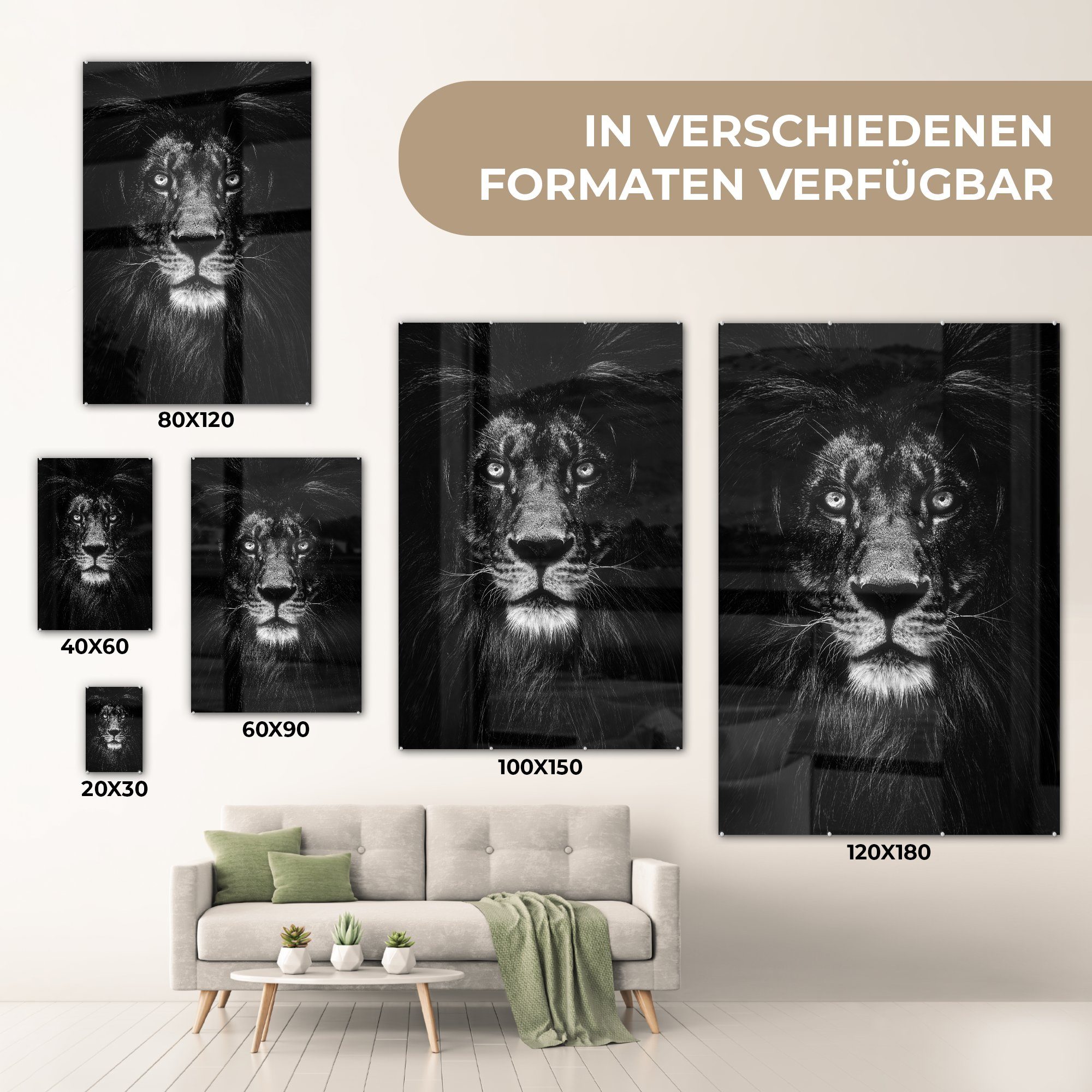 - Schwarz auf Bilder - MuchoWow auf Acrylglasbild - St), - Porträt (1 Wanddekoration Foto - - Wandbild Glasbilder Weiß, Tier Glas Glas