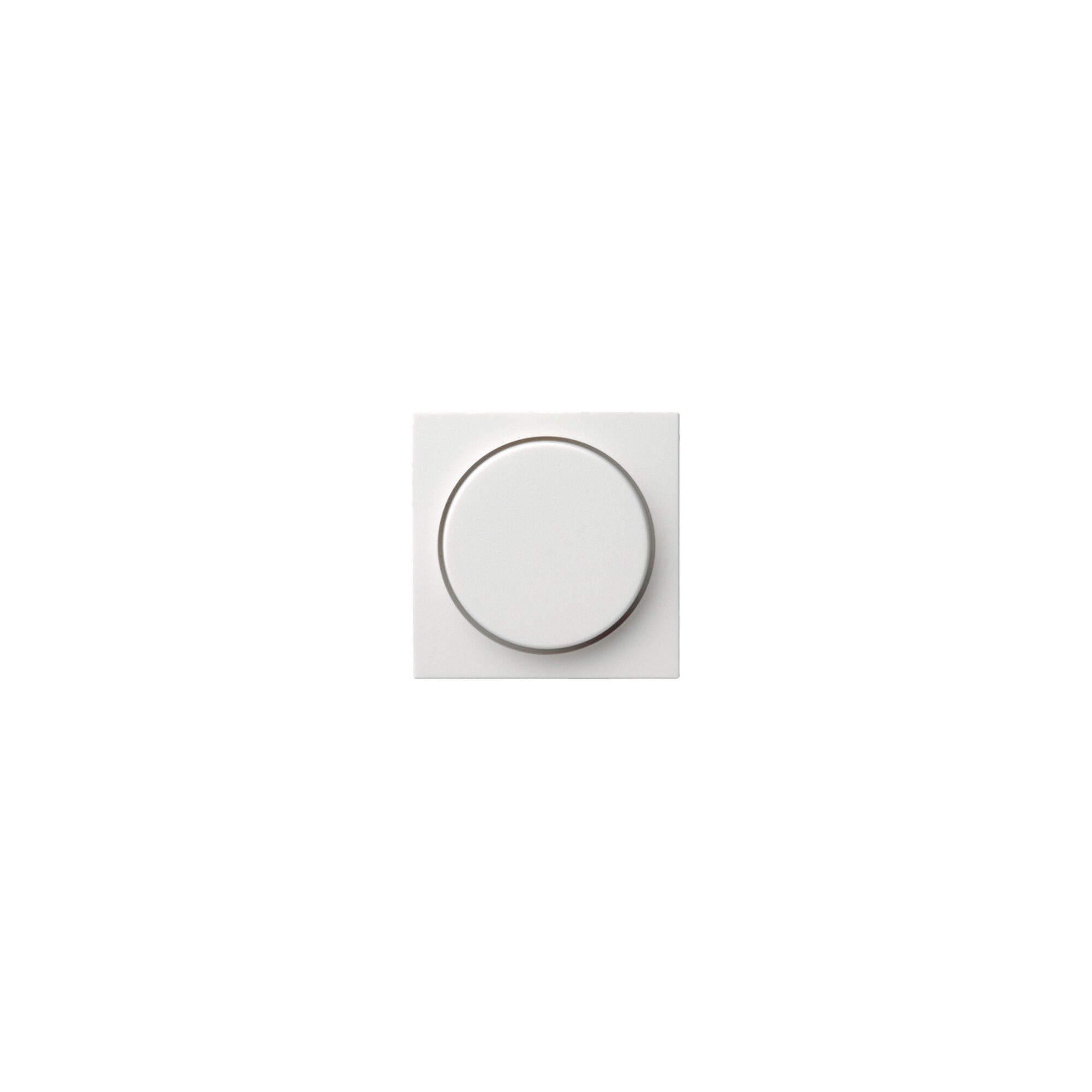 GIRA Gira Abdeckung rws-gl f.Drehdimmer 065003 Installationskabel