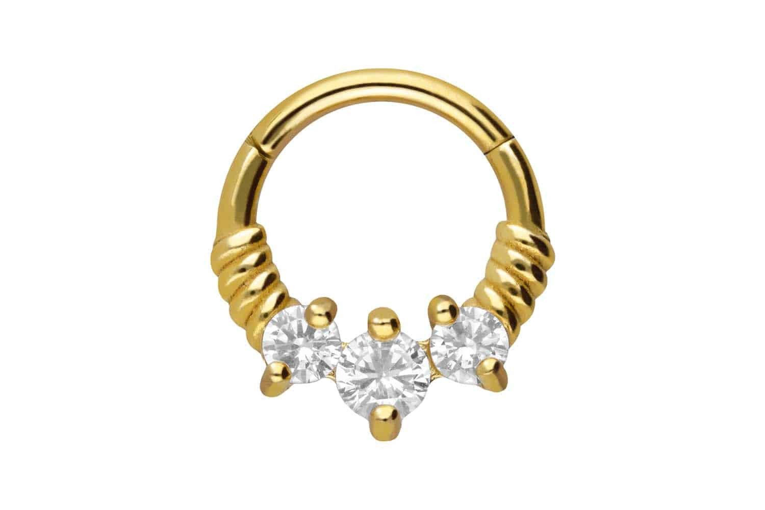 PIERCINGLINE Nasenpiercing Chirurgenstahl Segmentring Clicker GEDREHT günstig online kaufen