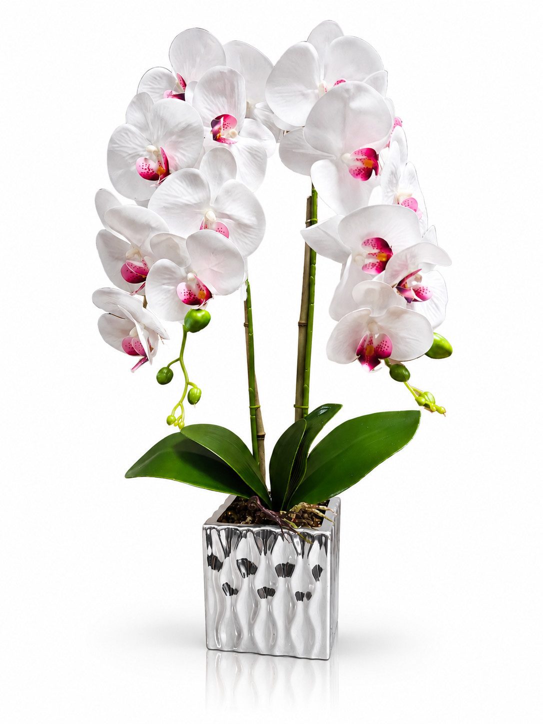 Kunstorchidee PASCH® Orchidee künstlich wie echt in Hochglanz-Keramiktopf Orchidee, PASCH, Hochglanz Keramiktopf