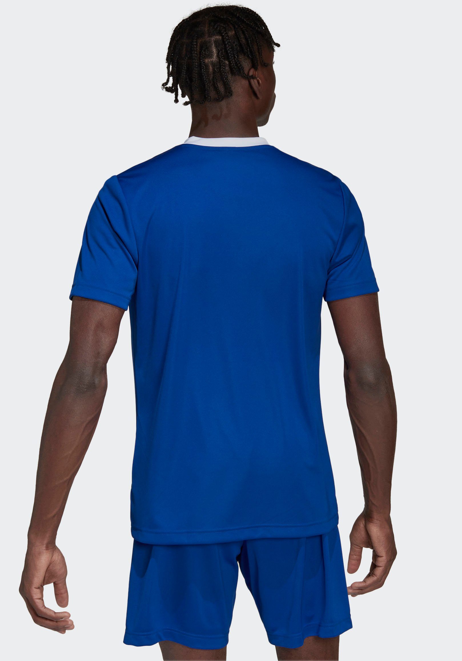 adidas Performance ROYBLU Fußballtrikot JSY ENT22