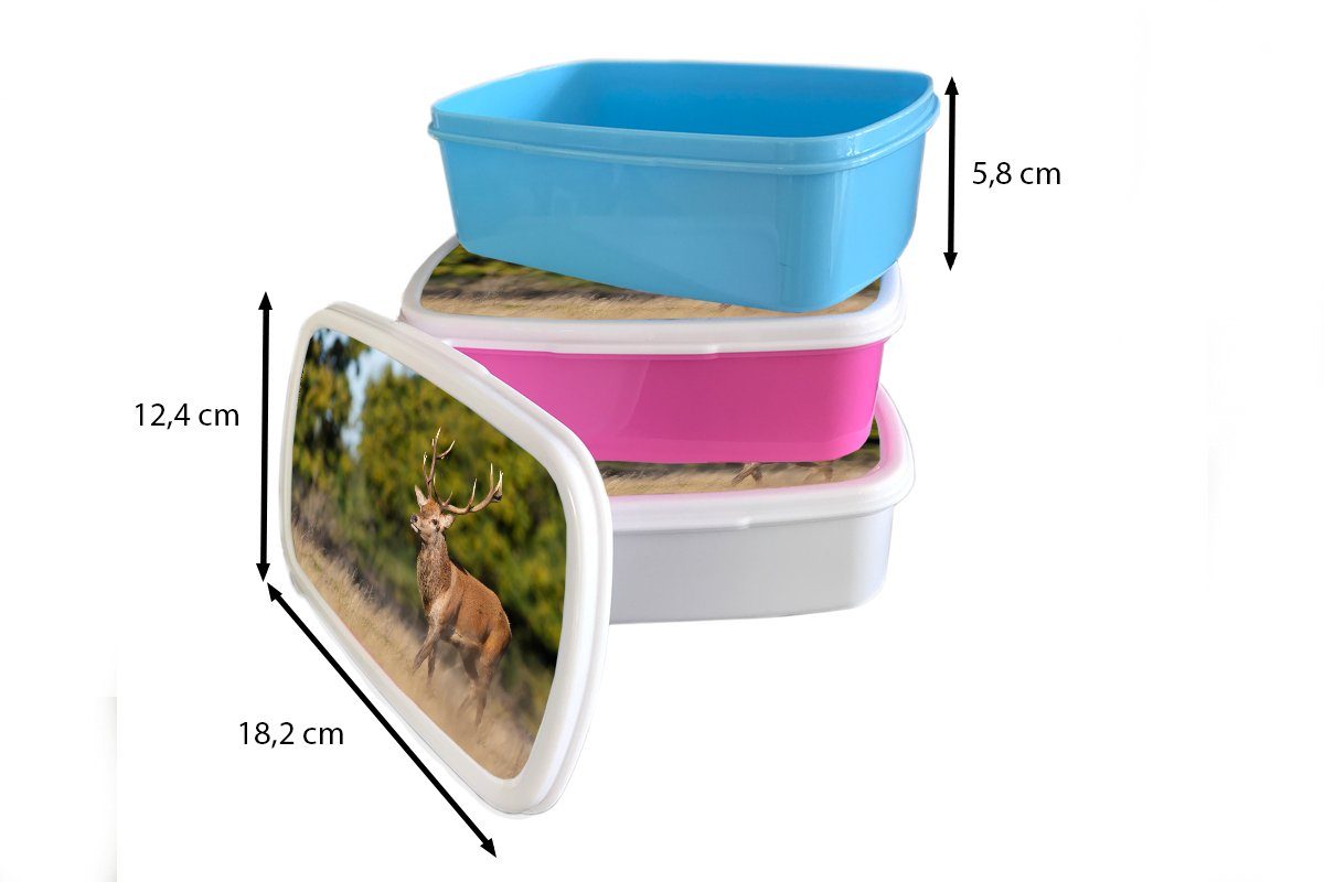 MuchoWow (2-tlg), Brotbox für Natur, Hirsche - Waldtiere und - Kunststoff, weiß Mädchen Geweihe - Brotdose, Jungs - und Lunchbox Tiere Erwachsene, für Kinder