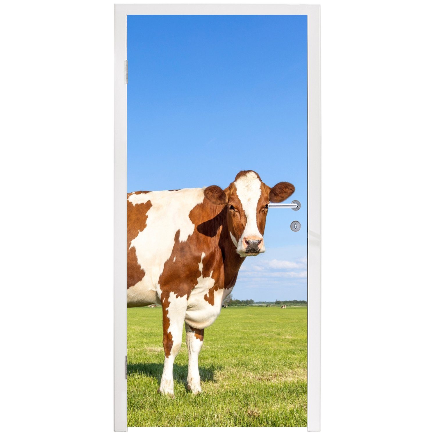 MuchoWow Türtapete Kühe - Tür, Türaufkleber, Fototapete - 75x205 - bedruckt, (1 St), für Bauernhof Matt, Gras cm - Tiere, Natur